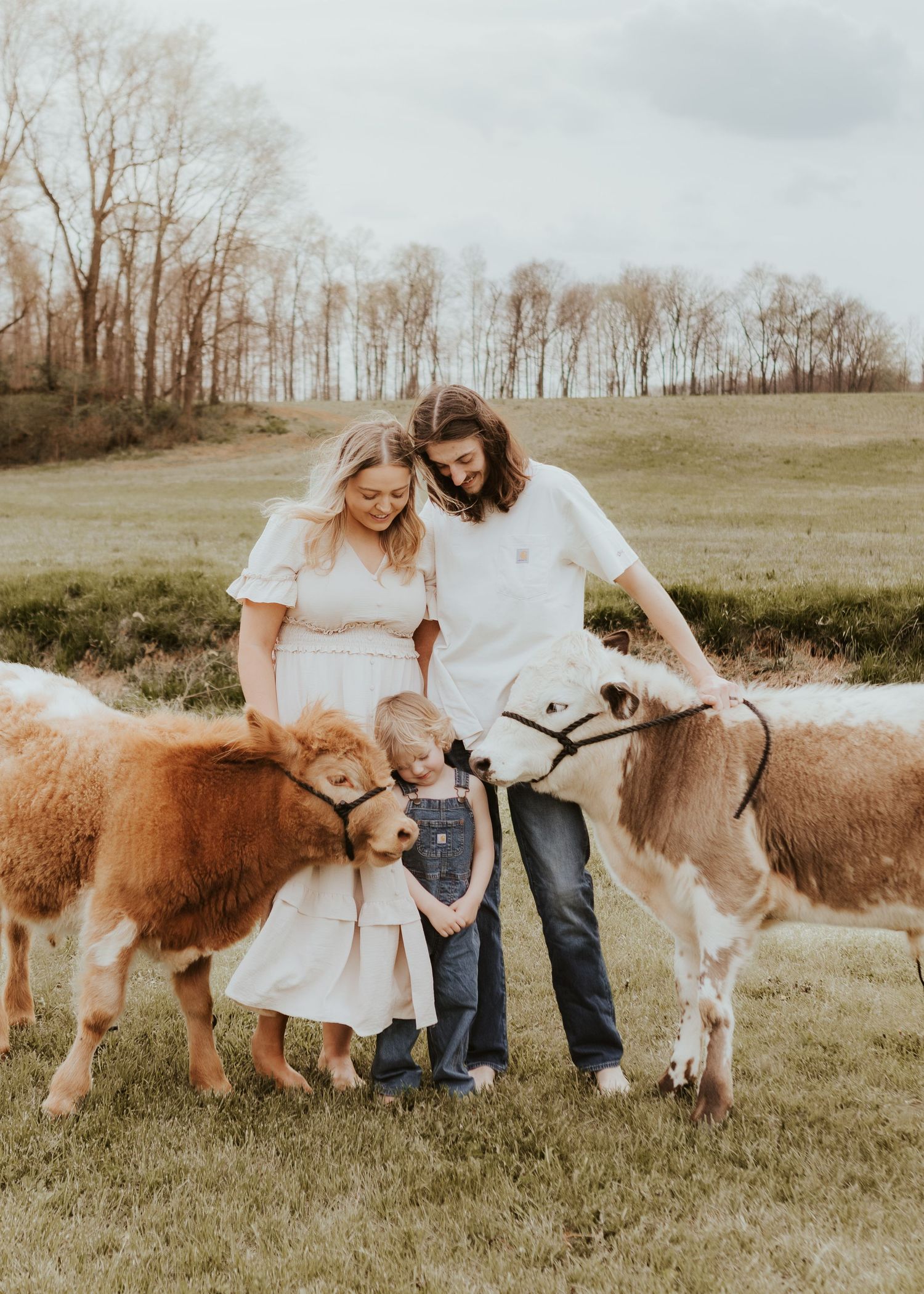 Young family with toddler petting two small calves in green field with bare trees in background.