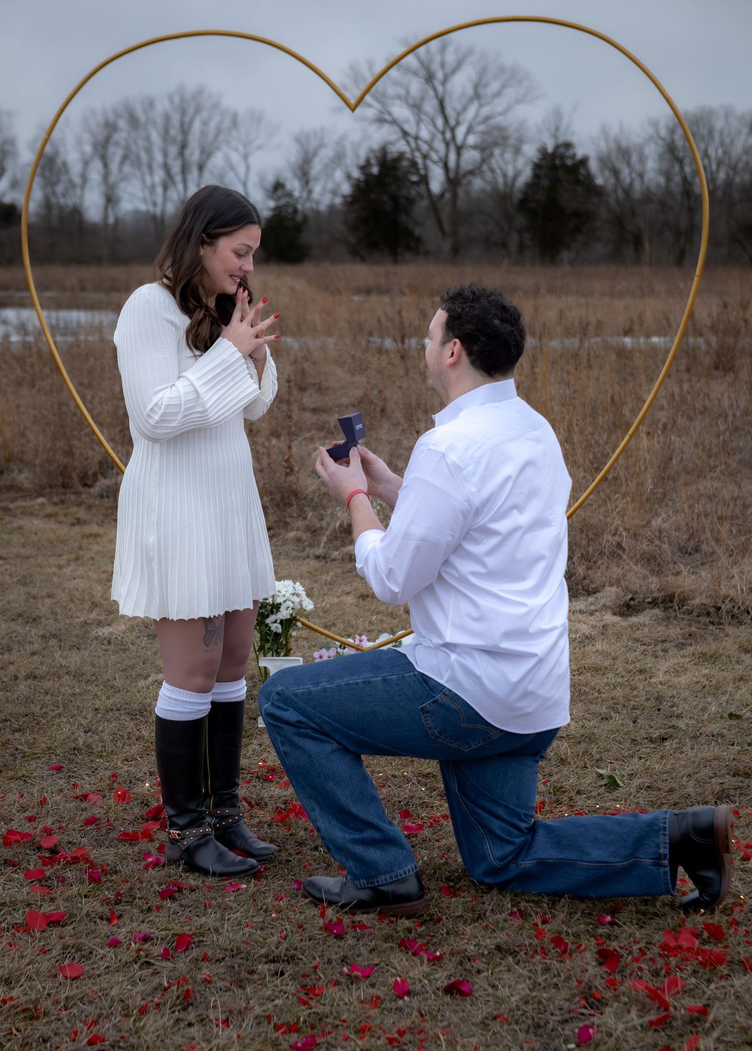 Romantic outdoor marriage proposal with man on one knee inside golden heart arch surrounded by rose petals.