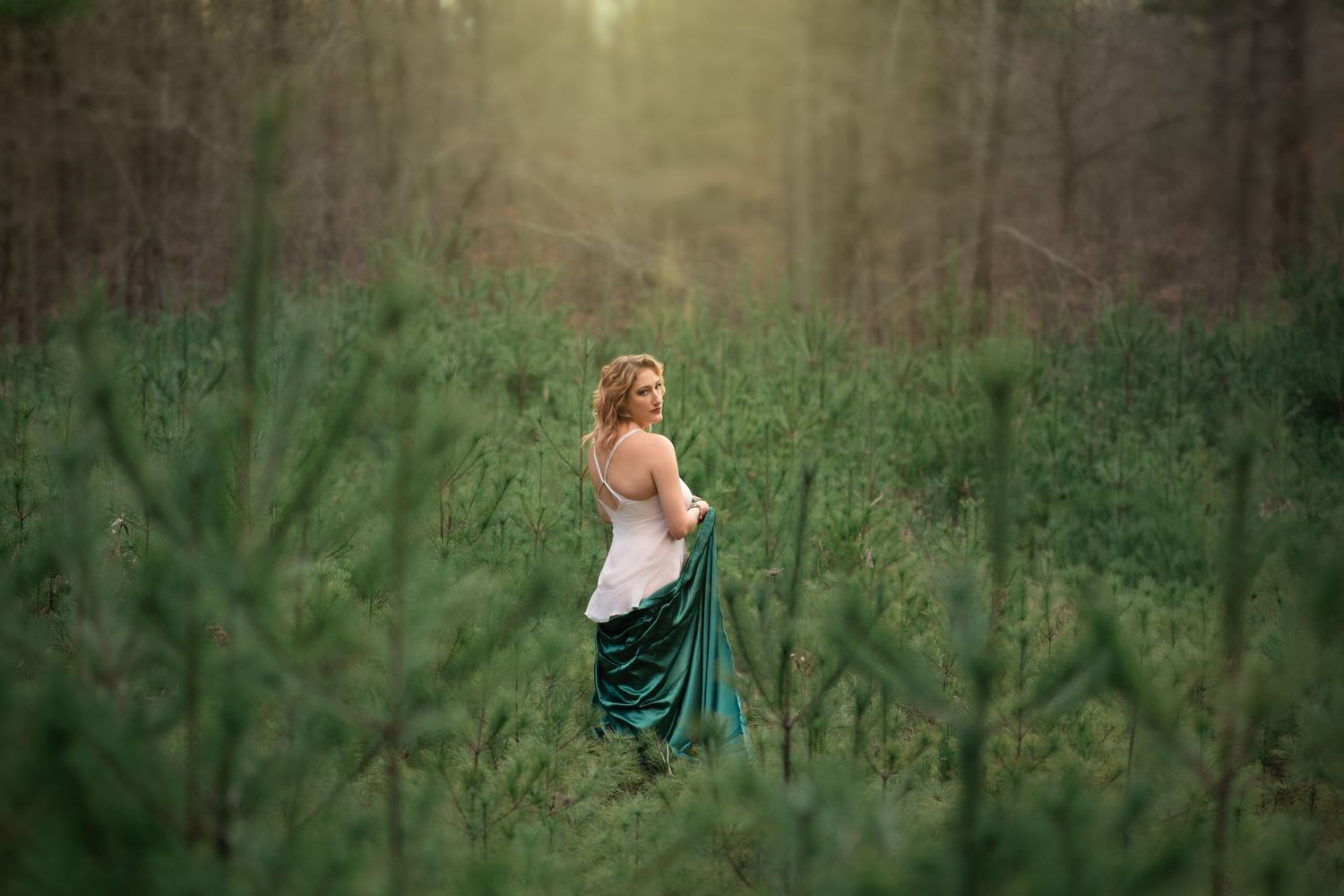 Ethereal forest photography series with soft lighting through trees.