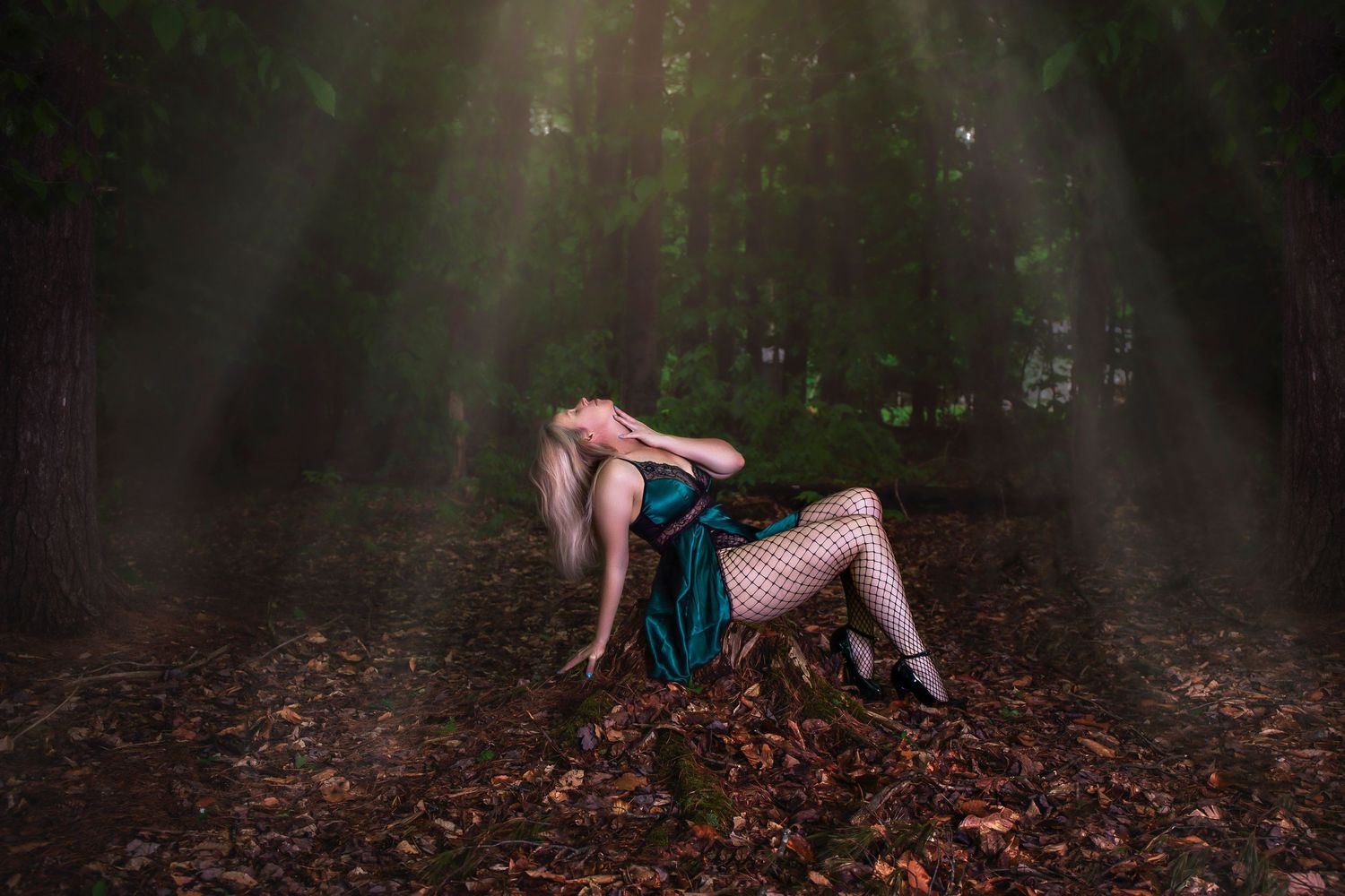 Dramatic forest photography with beams of light creating mystical atmosphere.