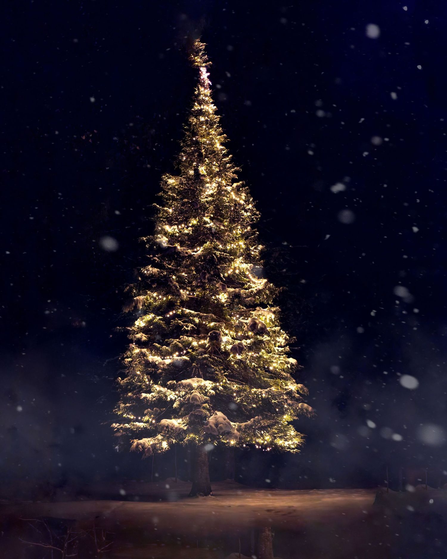 Illuminated Christmas tree glows warmly in the dark night as snow gently falls around it creating a magical winter scene.