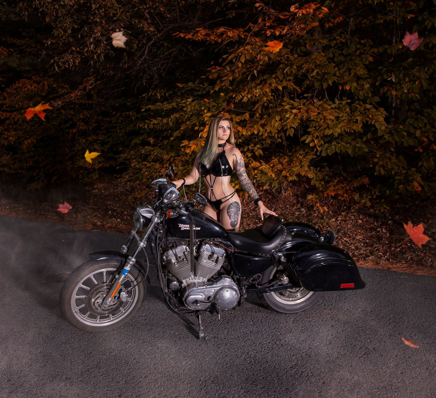 A motorcycle parked on a dark road surrounded by fallen autumn leaves in low light conditions.