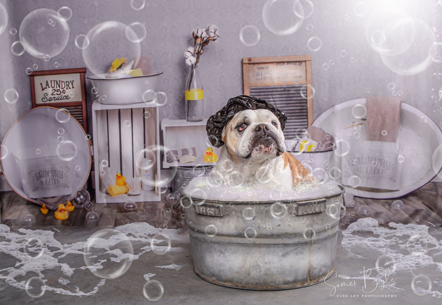 Bath time photography series with soap bubbles and vintage-style props in soft gray tones.
