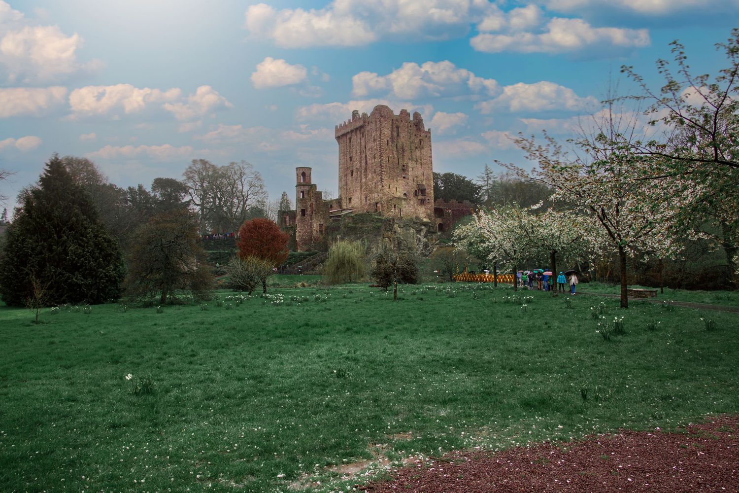 Spring meadow with blooming trees and Salisbury Cathedral spires rising in the distance against blue sky.