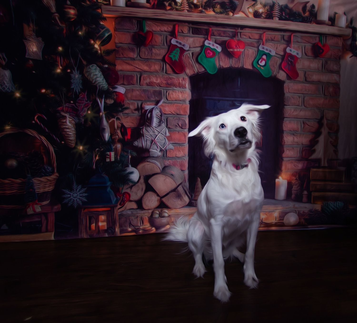White dog with black spots poses playfully in multiple action shots against a brick wall backdrop with colorful decorations.