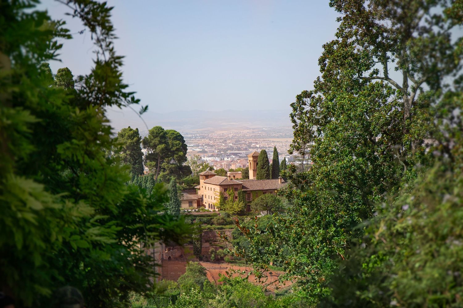 Aerial view of a Mediterranean hillside town with terracotta roofs surrounded by green cypress trees.