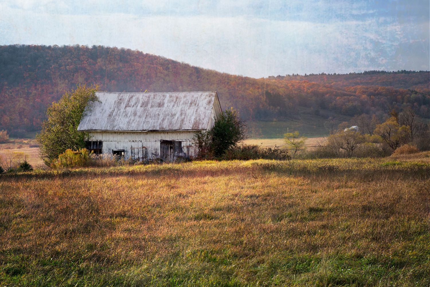A panoramic view of rolling autumn hills with an abandoned barn in the distance under a cloudy sky.