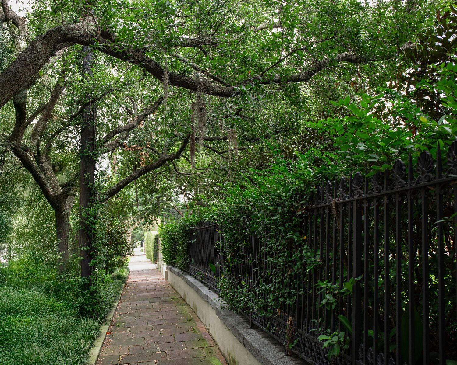 A tree-lined pathway with black iron fencing and lush greenery creates a peaceful urban walkway.