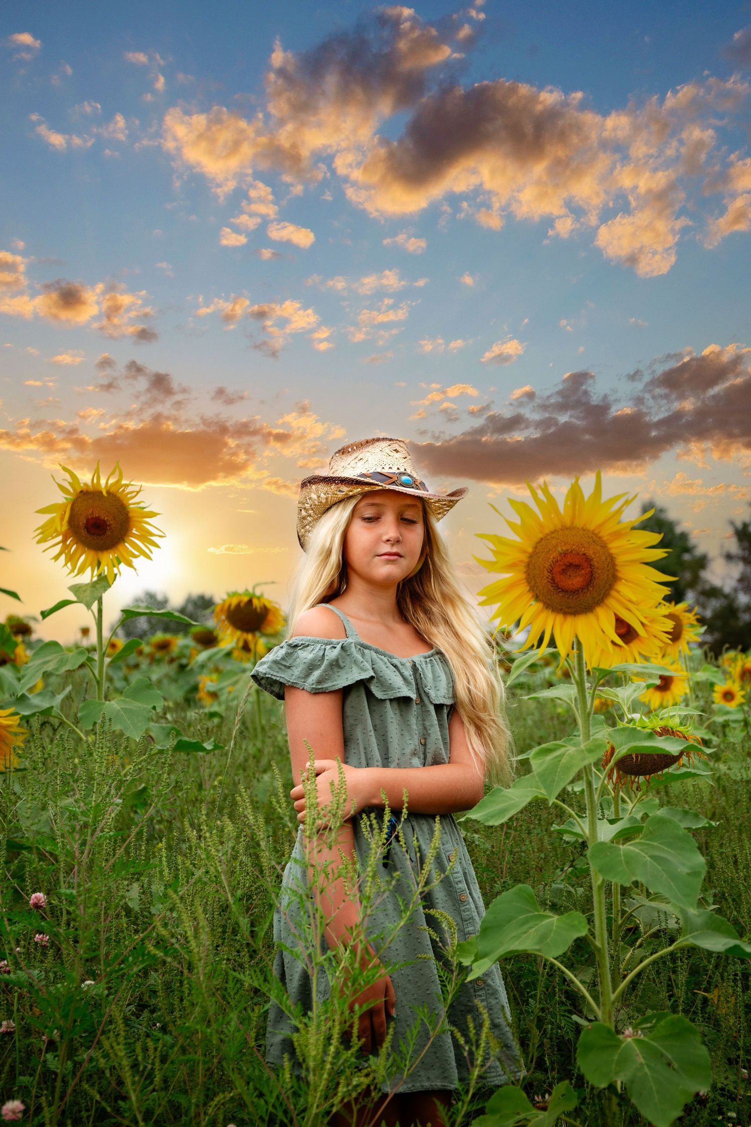 Beautiful sunset over a sunflower field with golden clouds and vibrant flowers.