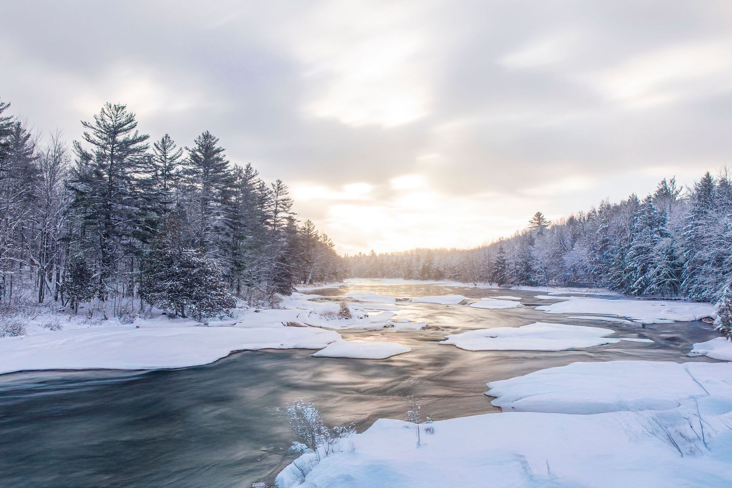 Winter landscape panorama of snow-covered lake and pine trees during sunset.