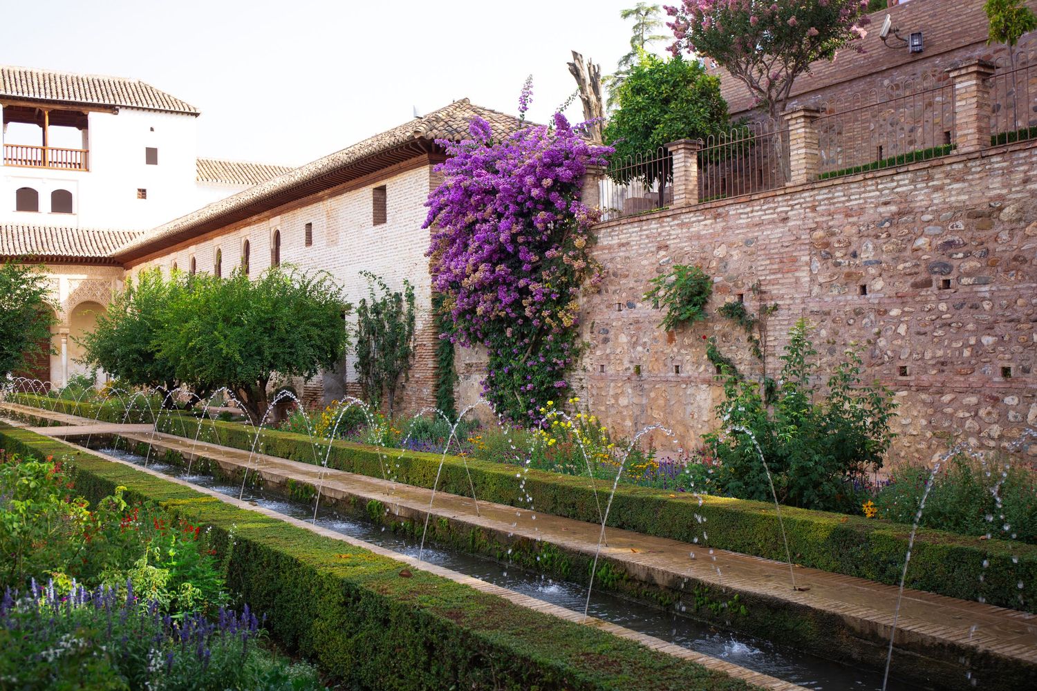 A tranquil garden with a stone wall adorned by vibrant purple bougainvillea and a long water feature at the Alhambra in Spain.