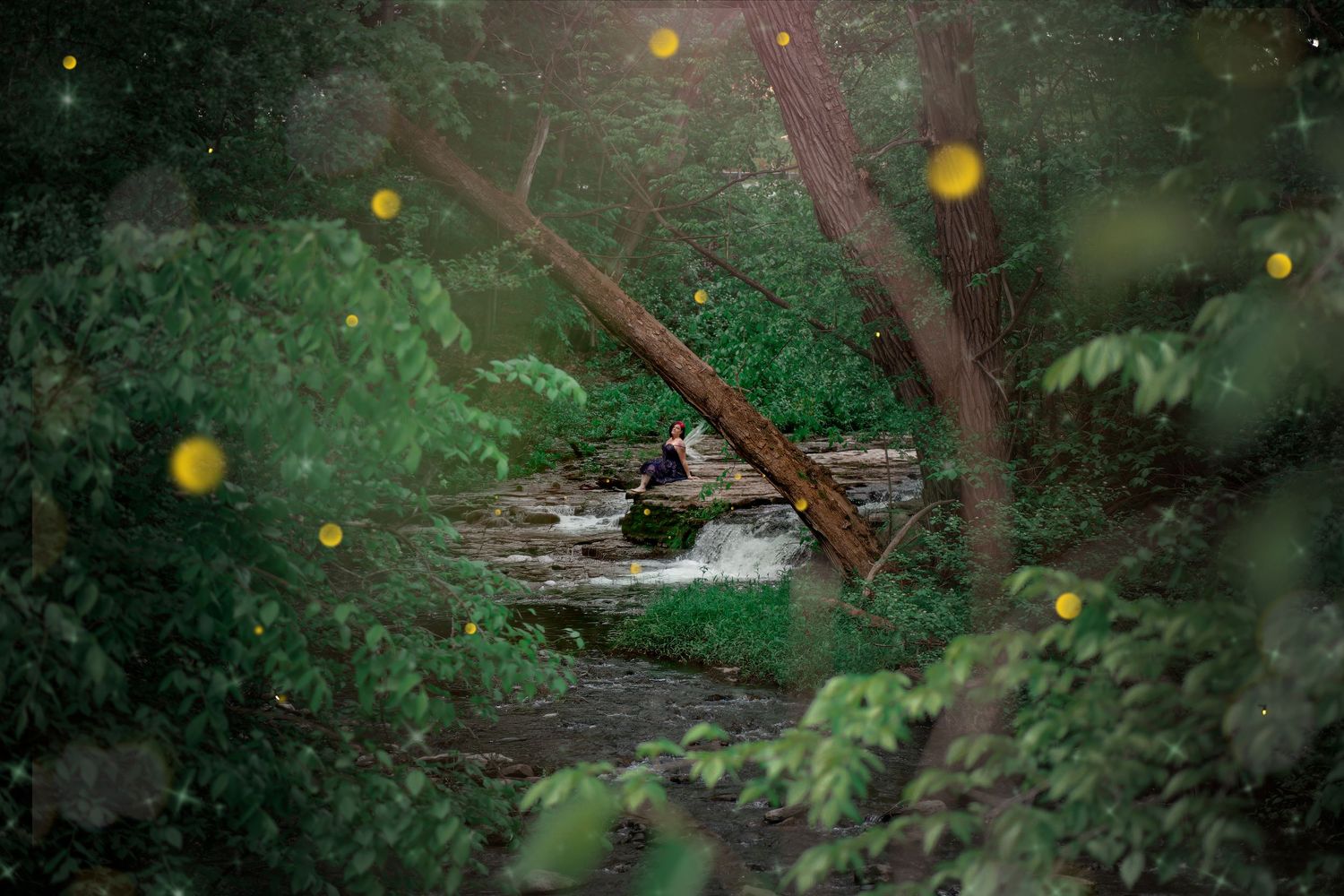 Person sitting by a rocky stream surrounded by lush green forest trees with soft bokeh light effects.