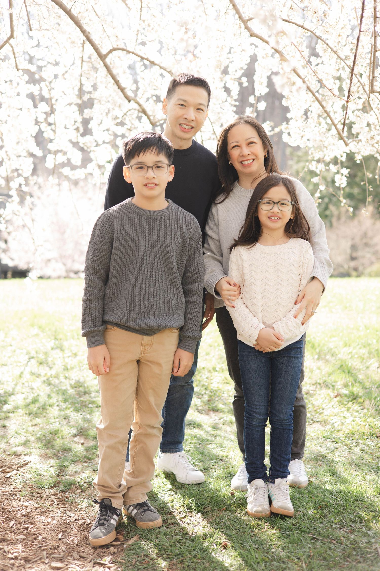 Family of four posing under blooming cherry blossom trees in a park, two children wearing glasses, spring setting.