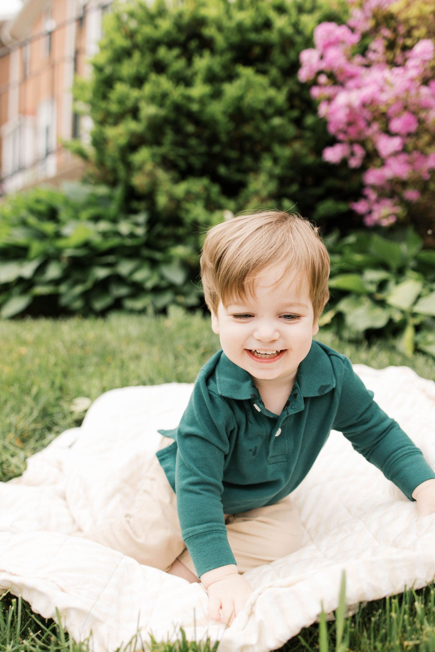 Happy toddler boy in green polo shirt laughing on a blanket in a lush garden with pink flowering shrubs.