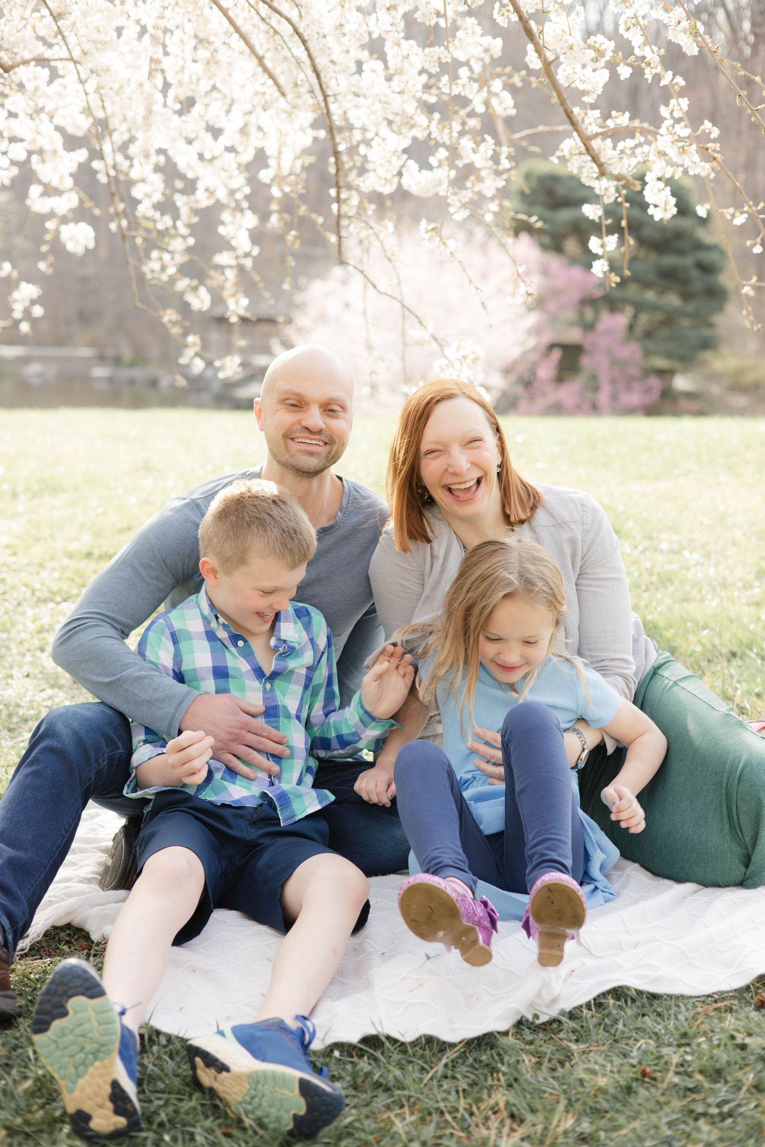 Happy family of four sitting on blanket under blooming spring trees, laughing outdoors together.