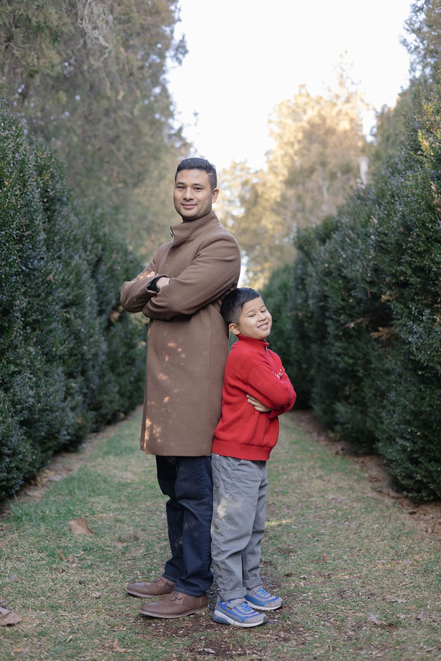 A sweet family embrace captured between rows of evergreen trees during golden hour.