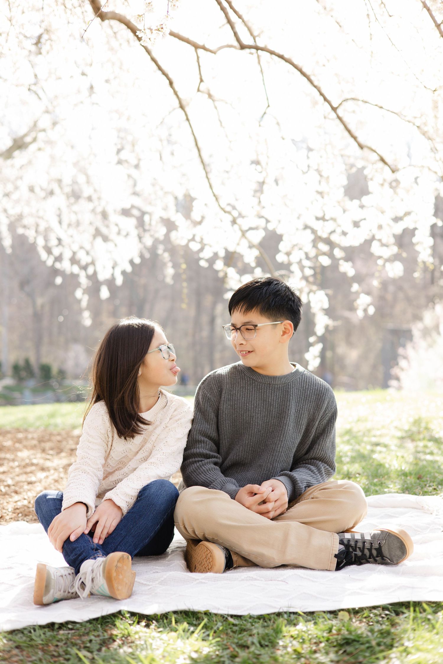 A couple sits on a blanket under blooming cherry blossom trees, gazing at each other in a serene park setting.