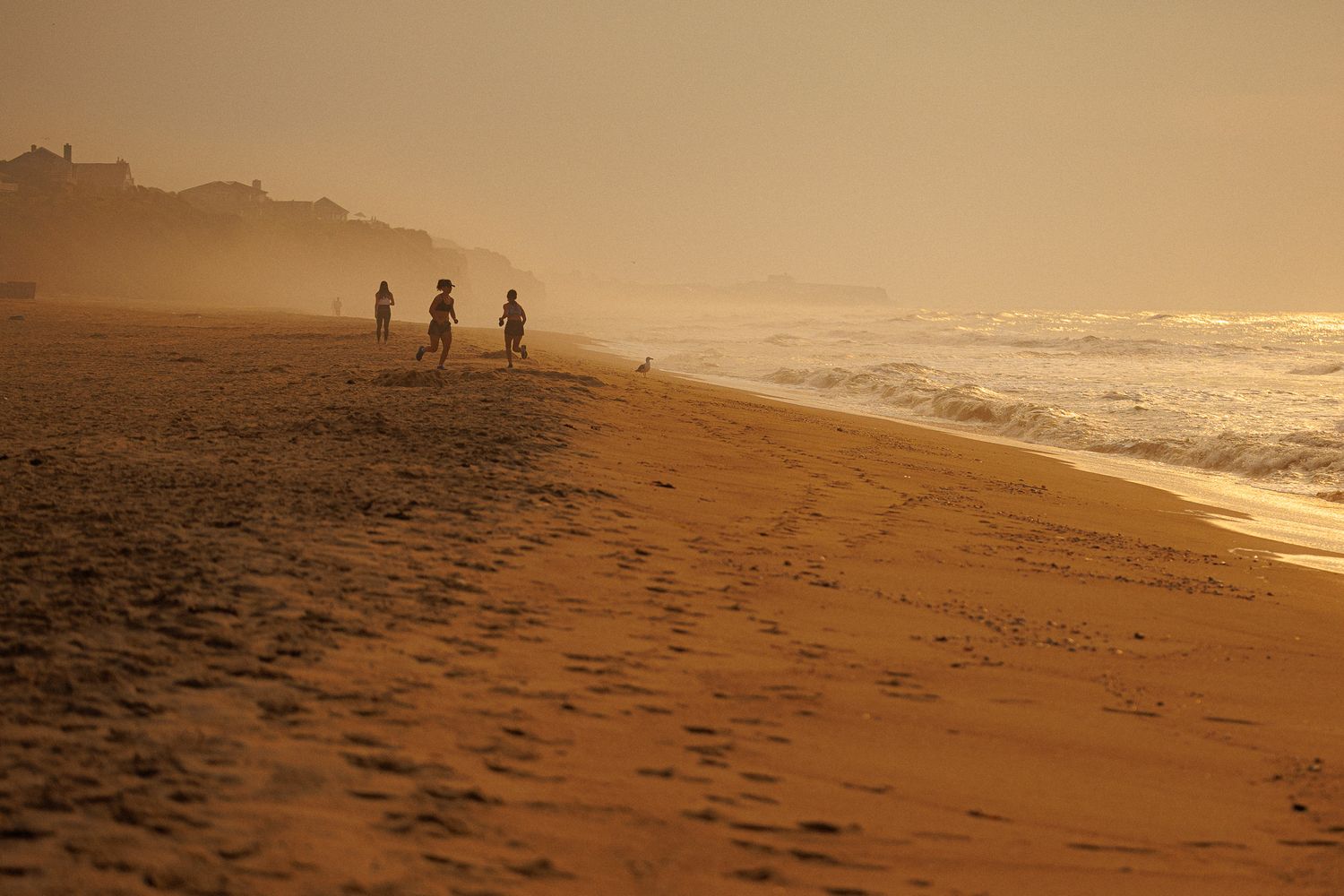 beach Look Alive Photo Long Island Based Photographer and Videographer