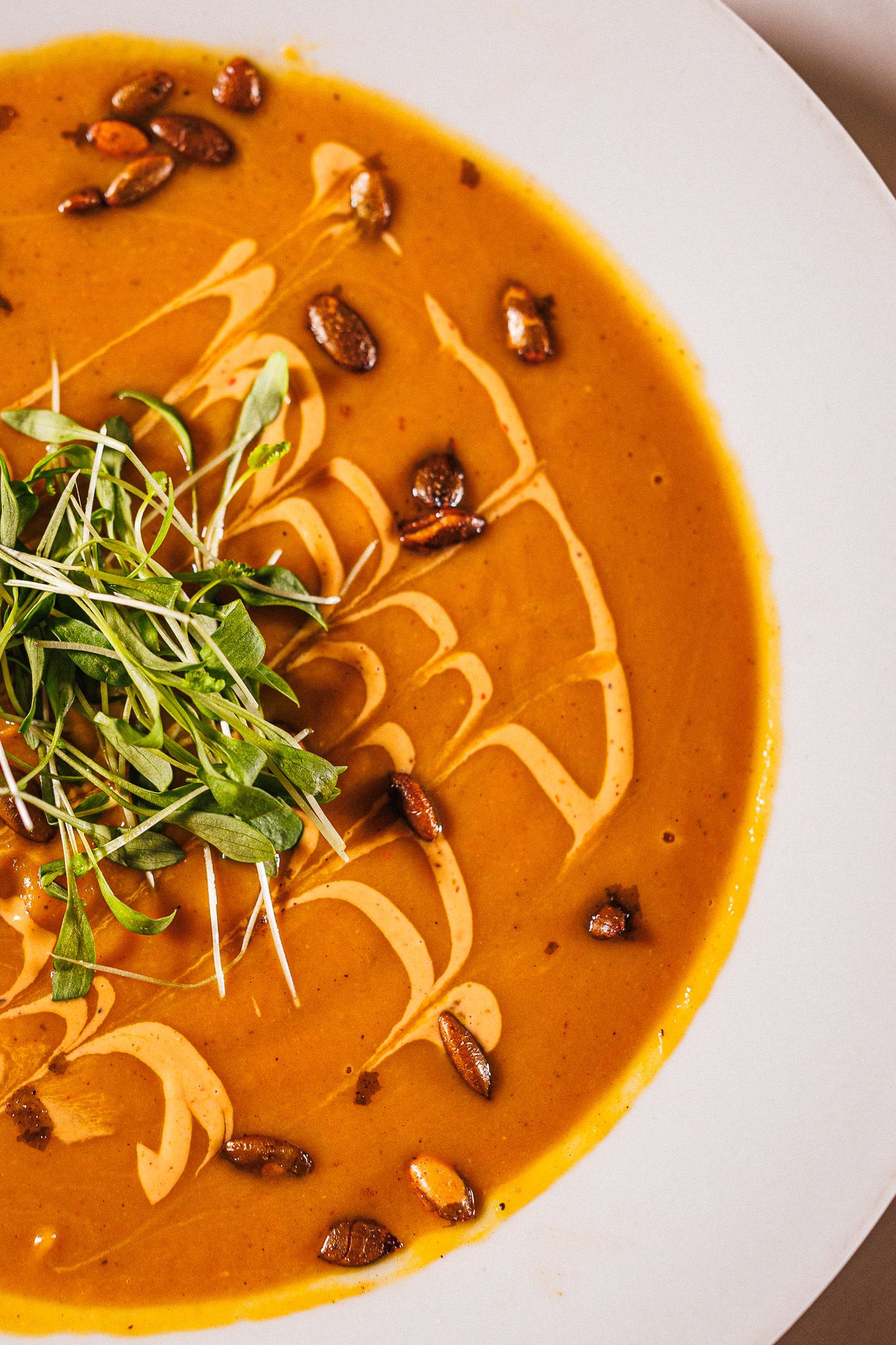 soup

Look Alive Photo Long Island Based Photographer and Videographer