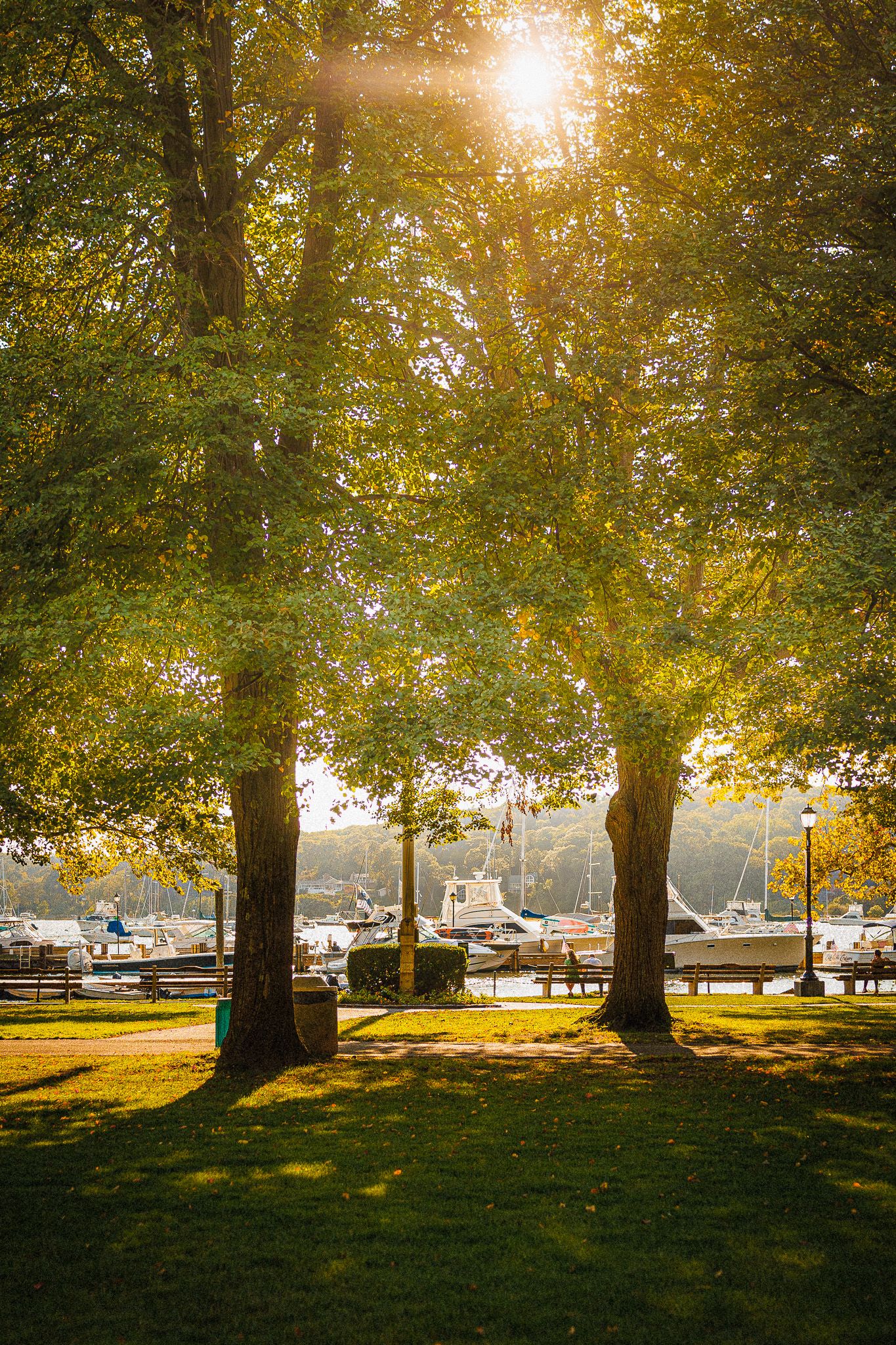 park Look Alive Photo Long Island Based Photographer and Videographer