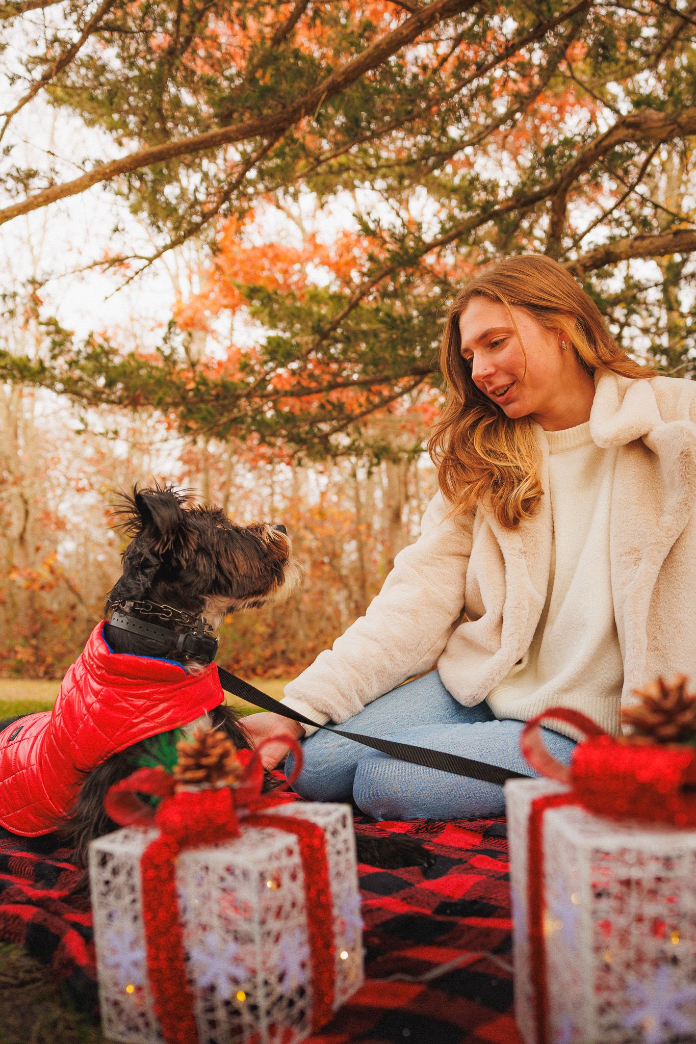 holiday portrait dog and owner

Look Alive Photo Long Island Based Photographer and Videographer