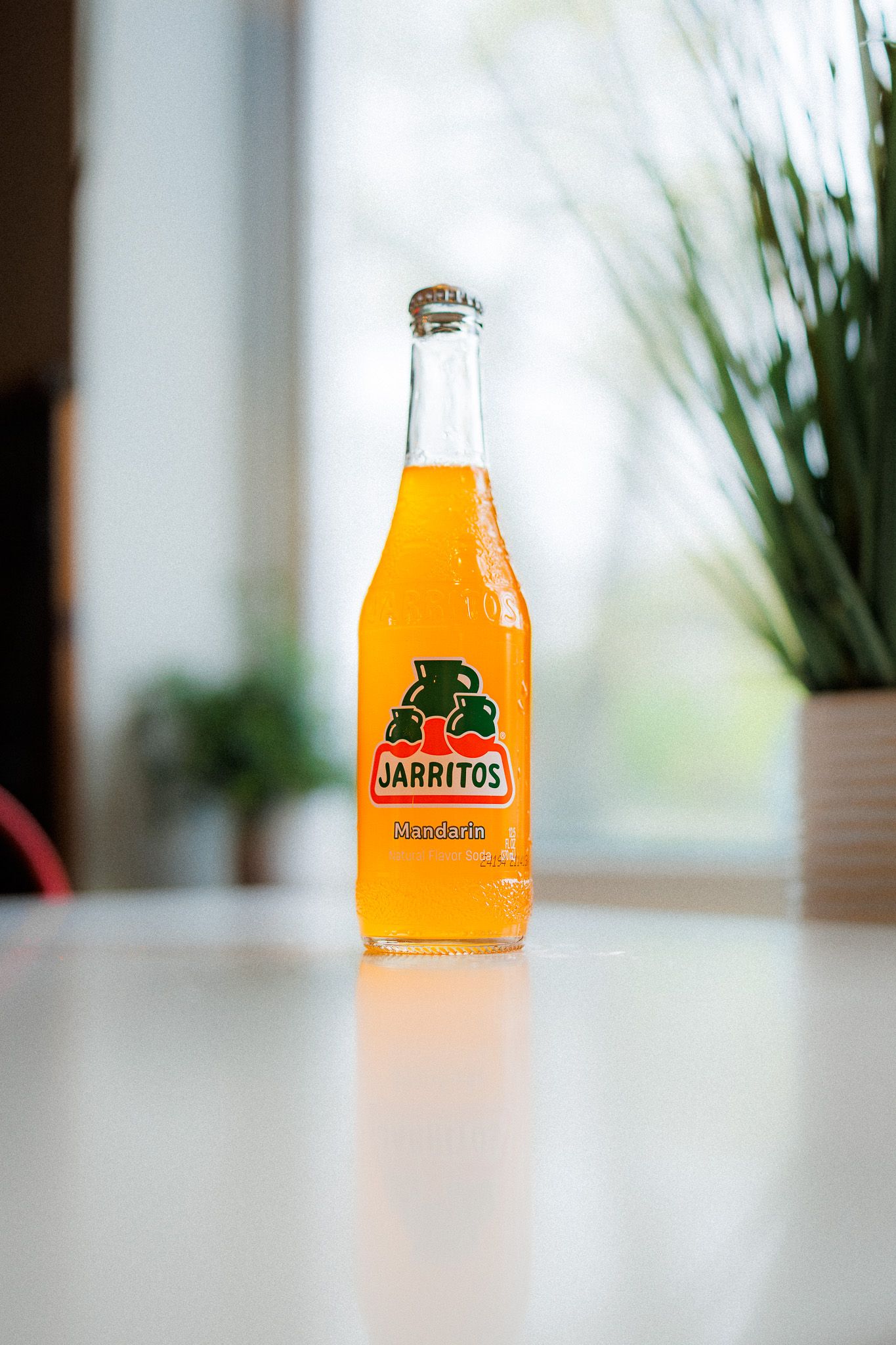 soda bottle

Look Alive Photo Long Island Based Photographer and Videographer
