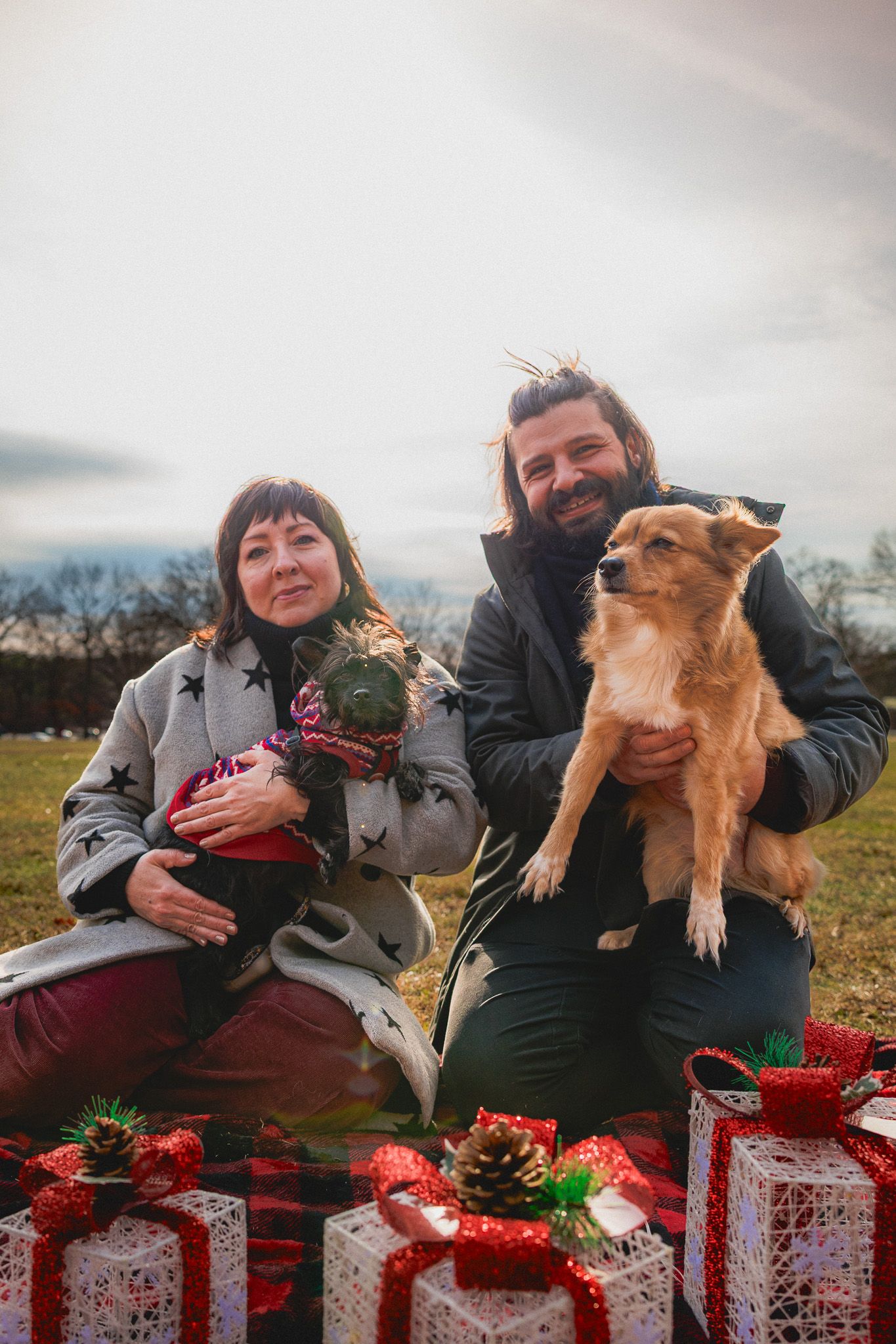 Dogs and owners