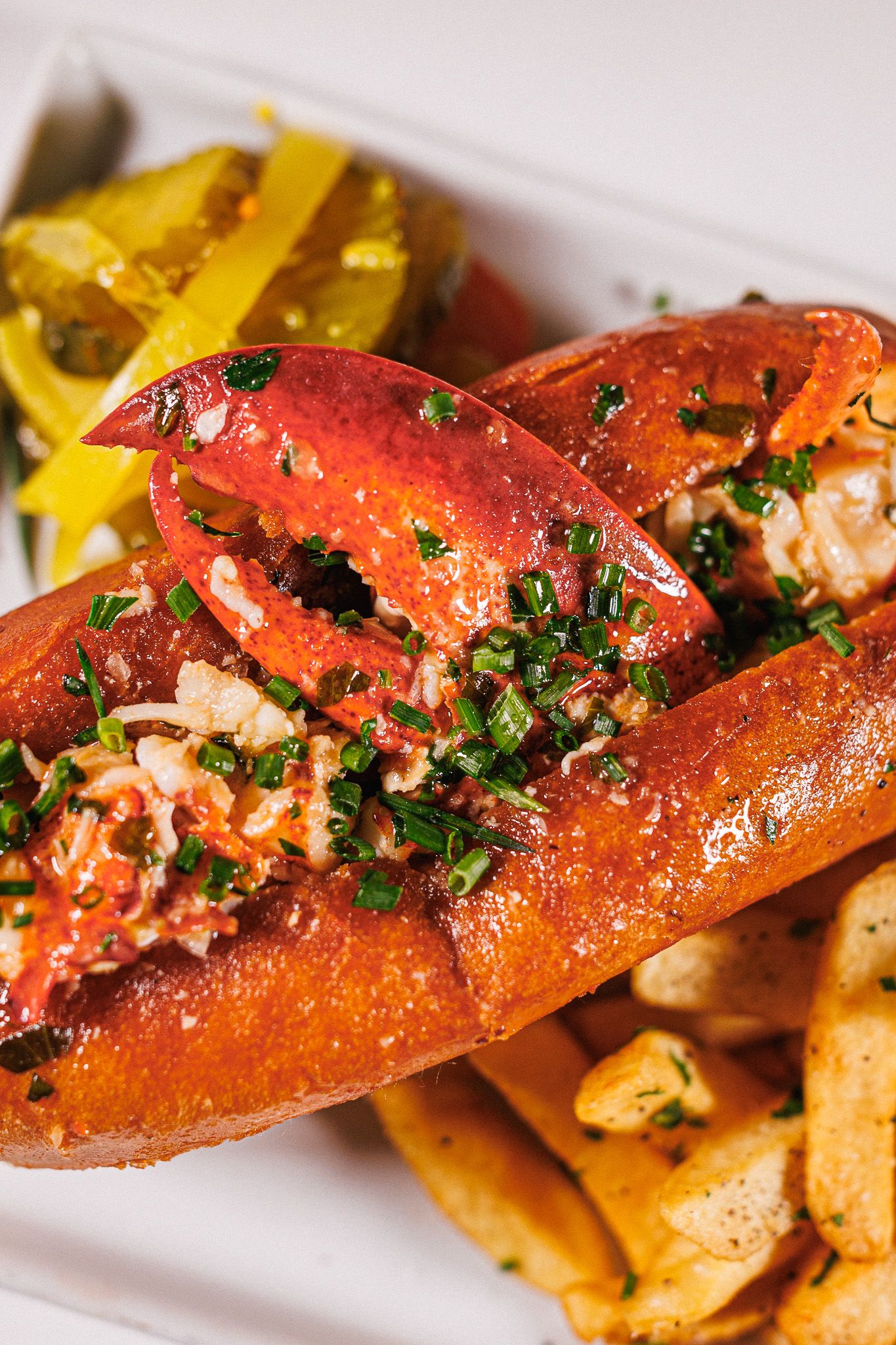 lobster roll

Look Alive Photo Long Island Based Photographer and Videographer