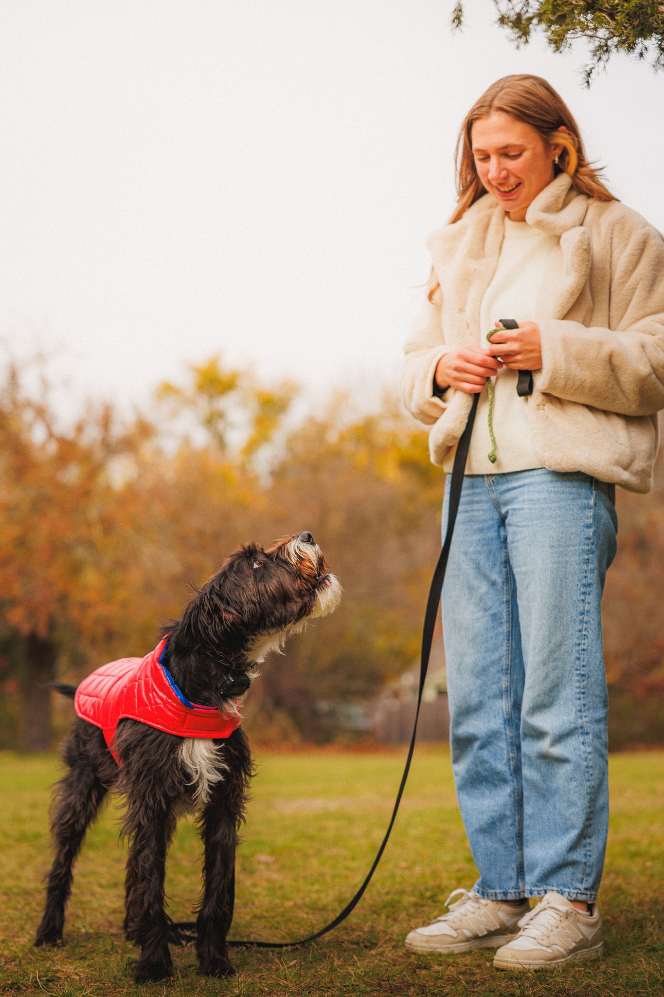 holiday portrait dog and owner

Look Alive Photo Long Island Based Photographer and Videographer