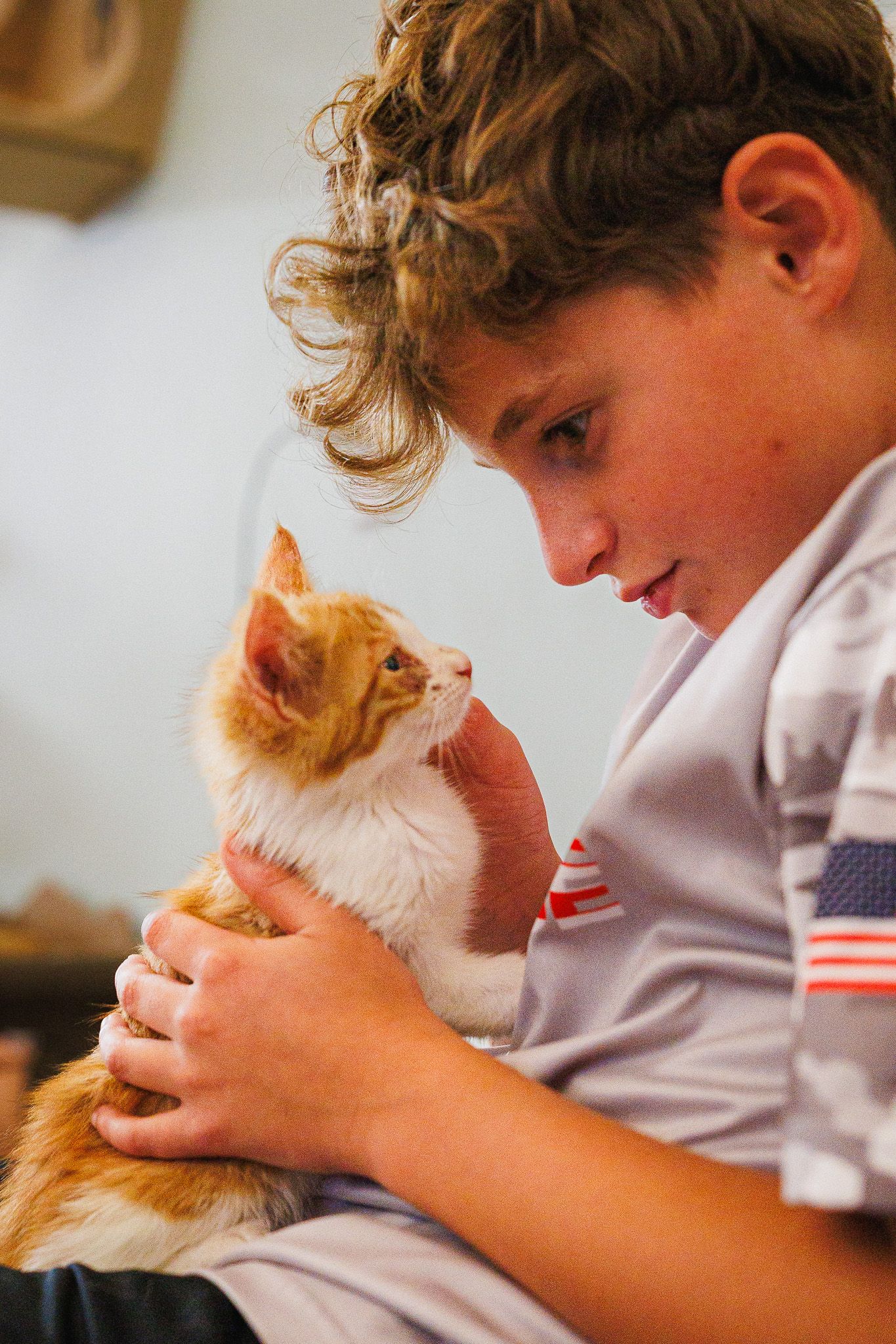 cat