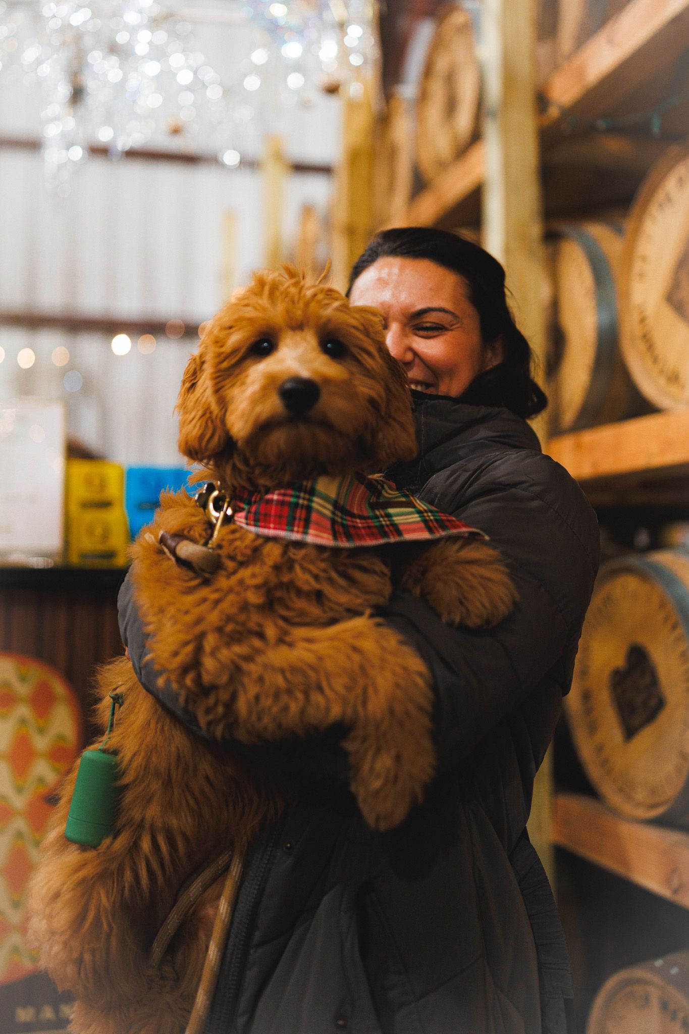 dog and owner

Look Alive Photo Long Island Based Photographer and Videographer