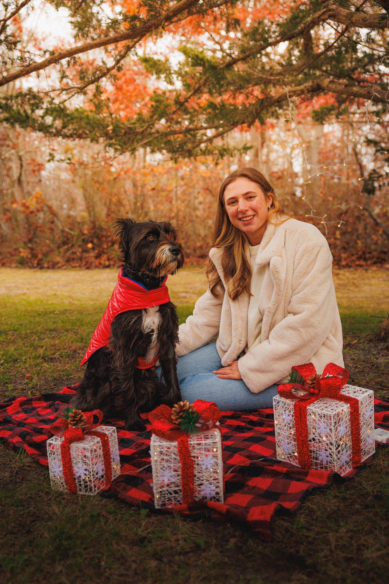 holiday portrait dog and owner

Look Alive Photo Long Island Based Photographer and Videographer