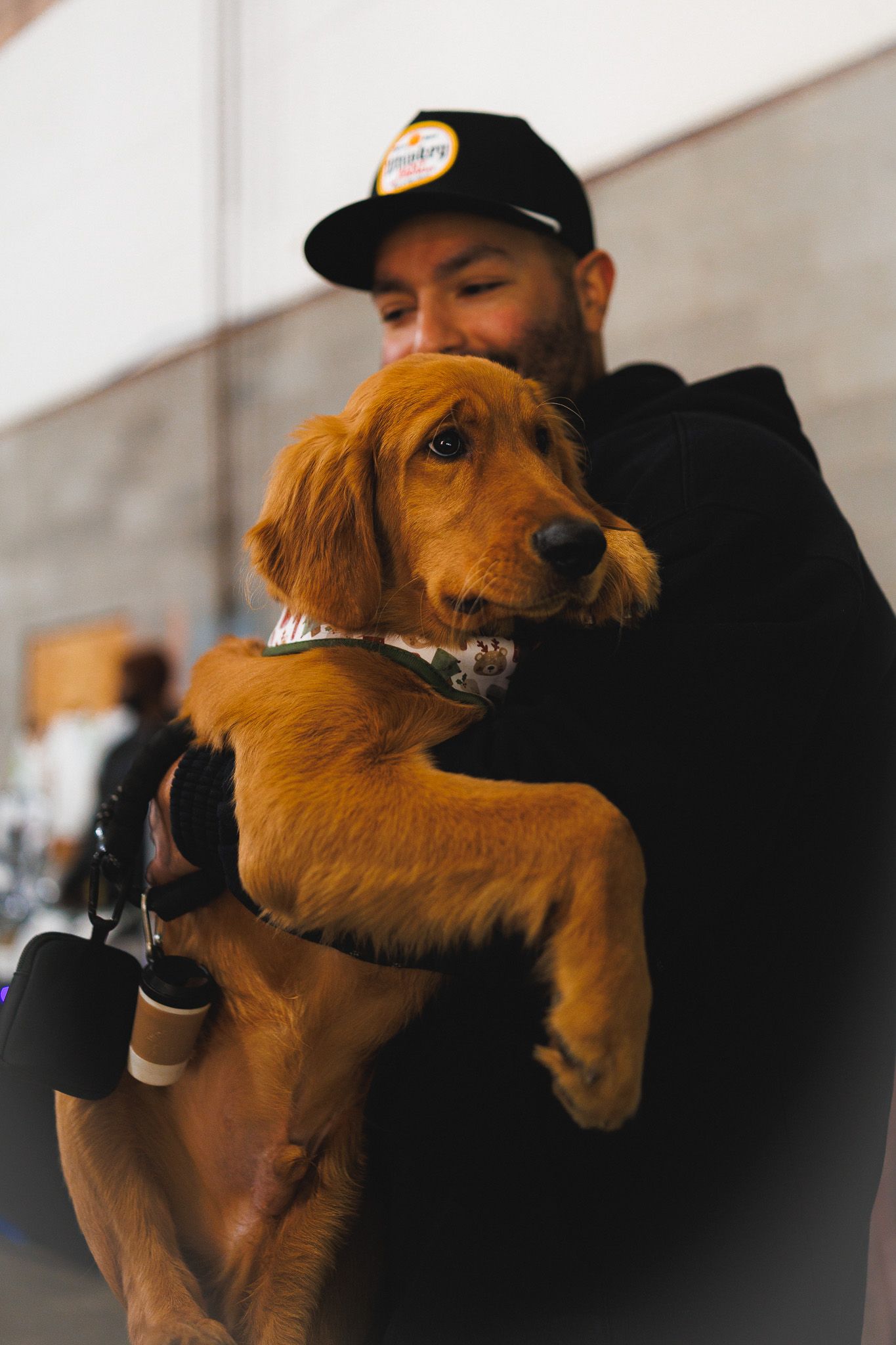 dog