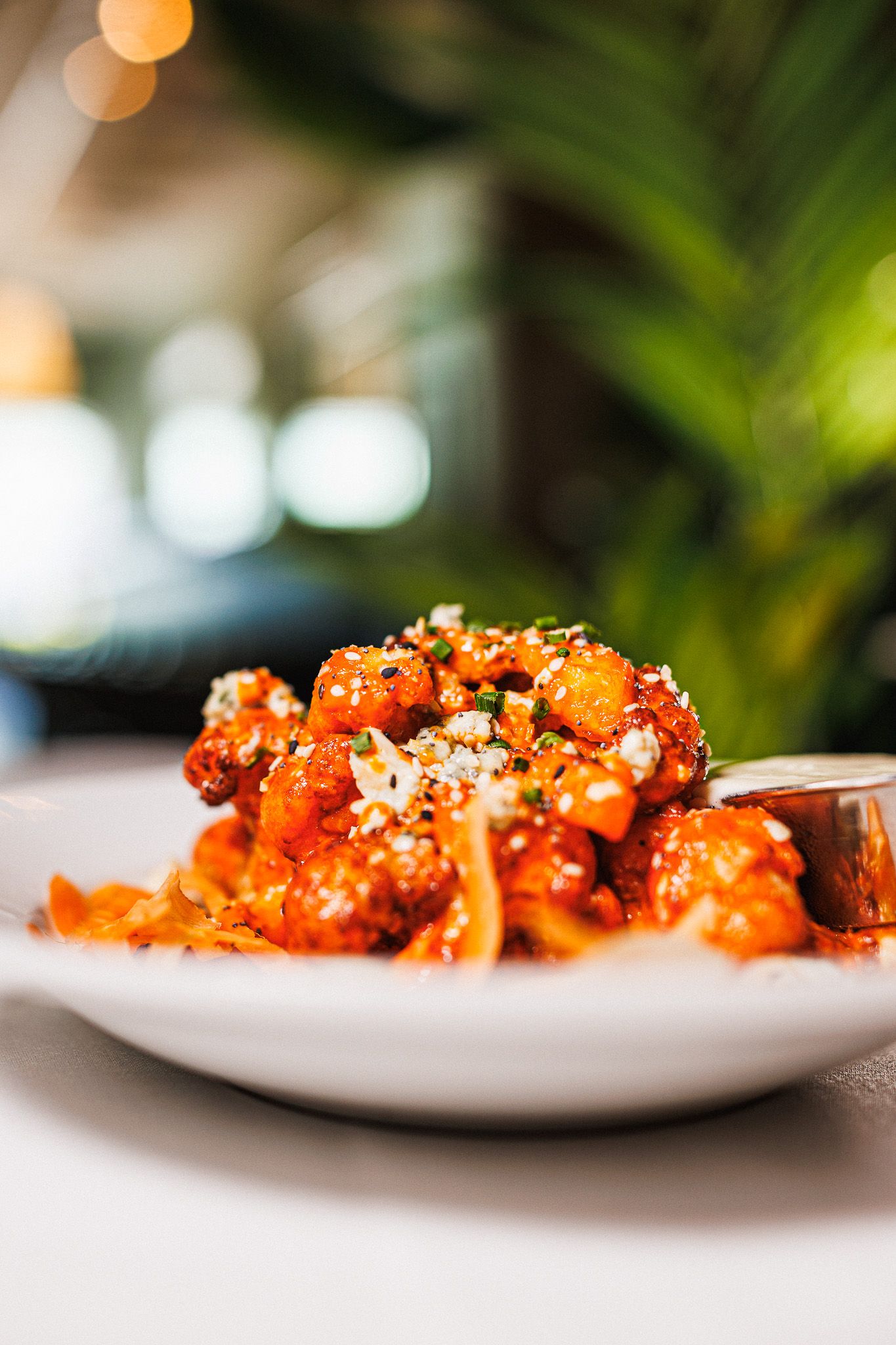buffalo cauliflower

Look Alive Photo Long Island Based Photographer and Videographer