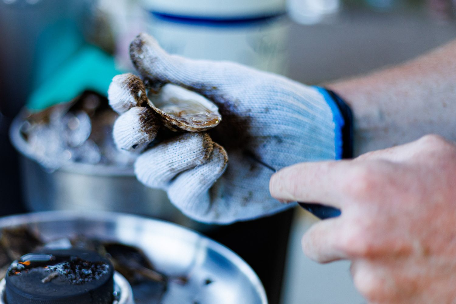 shucking oyster

Look Alive Photo Long Island Based Photographer and Videographer