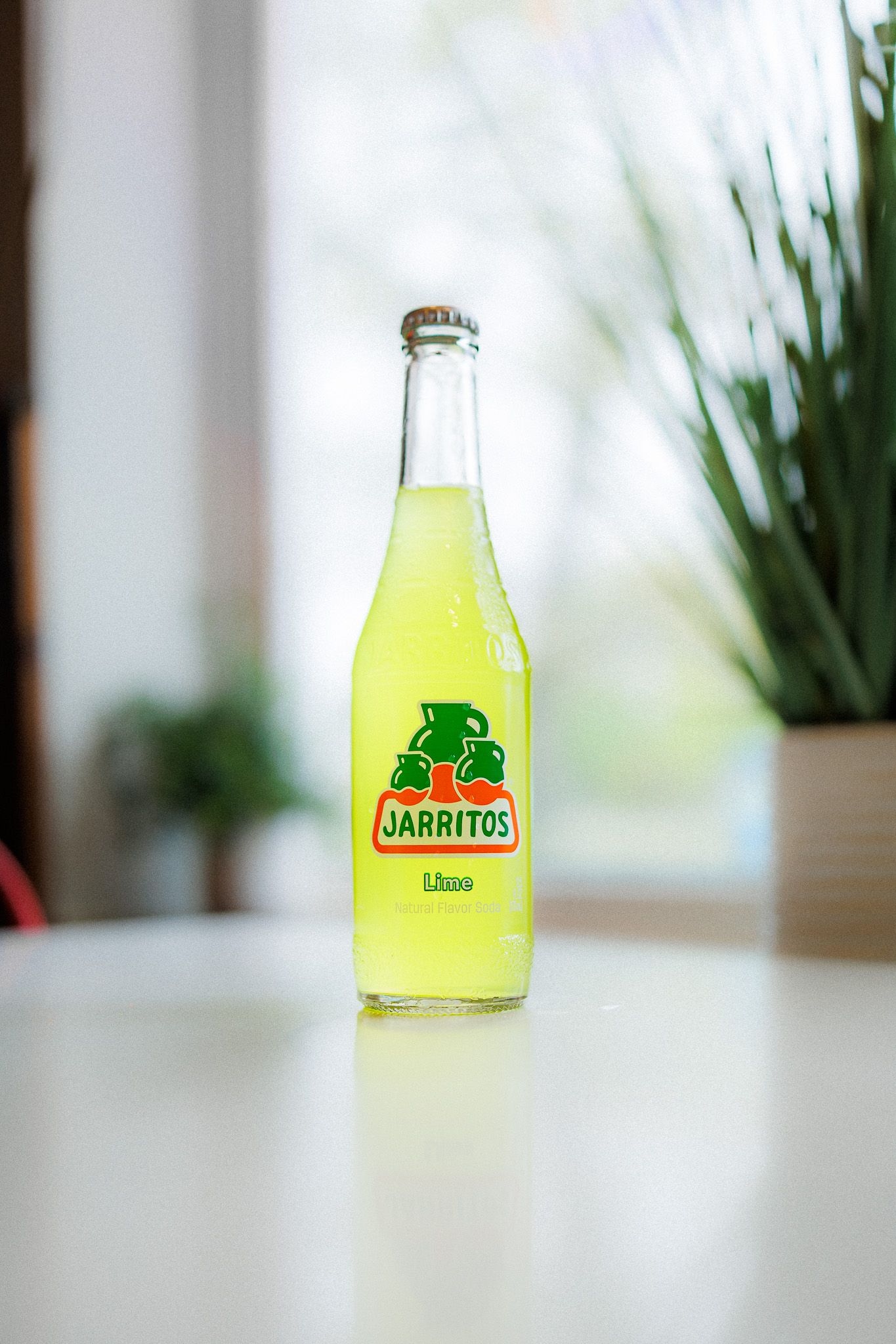 soda bottle

Look Alive Photo Long Island Based Photographer and Videographer
