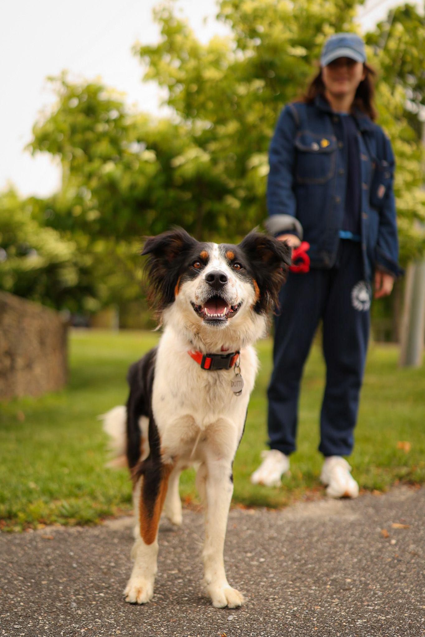 Dog and owner

Look Alive Photo Long Island Based Photographer and Videographer