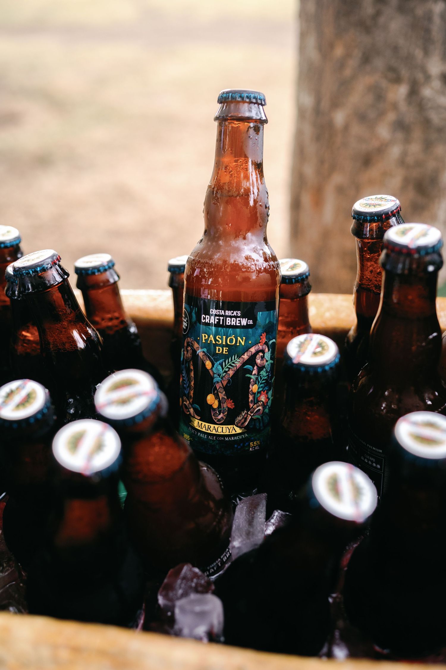Row of craft beer bottles lined up at outdoor wedding reception.