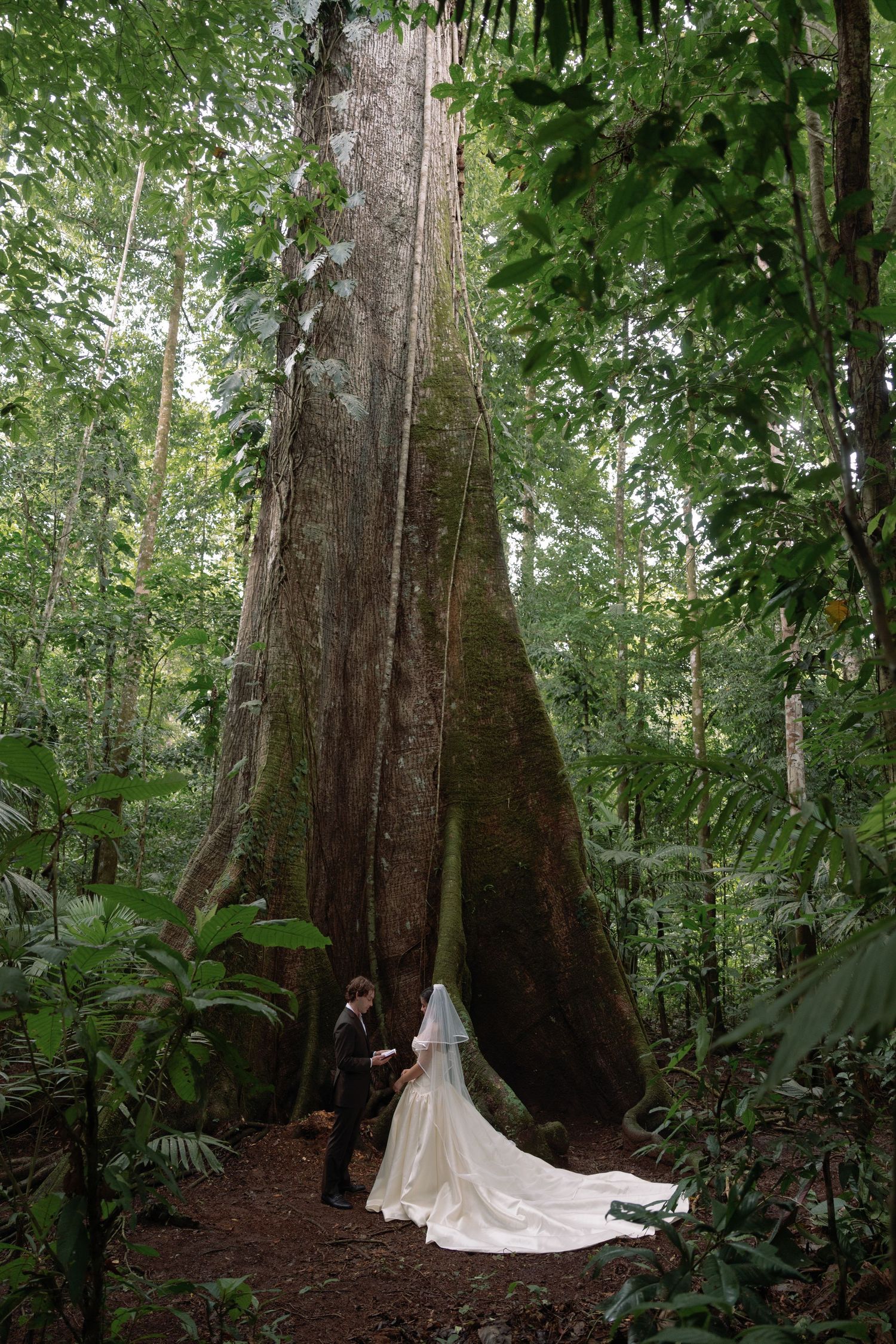 Wedding couple poses at base of massive tree trunk in lush forest setting.