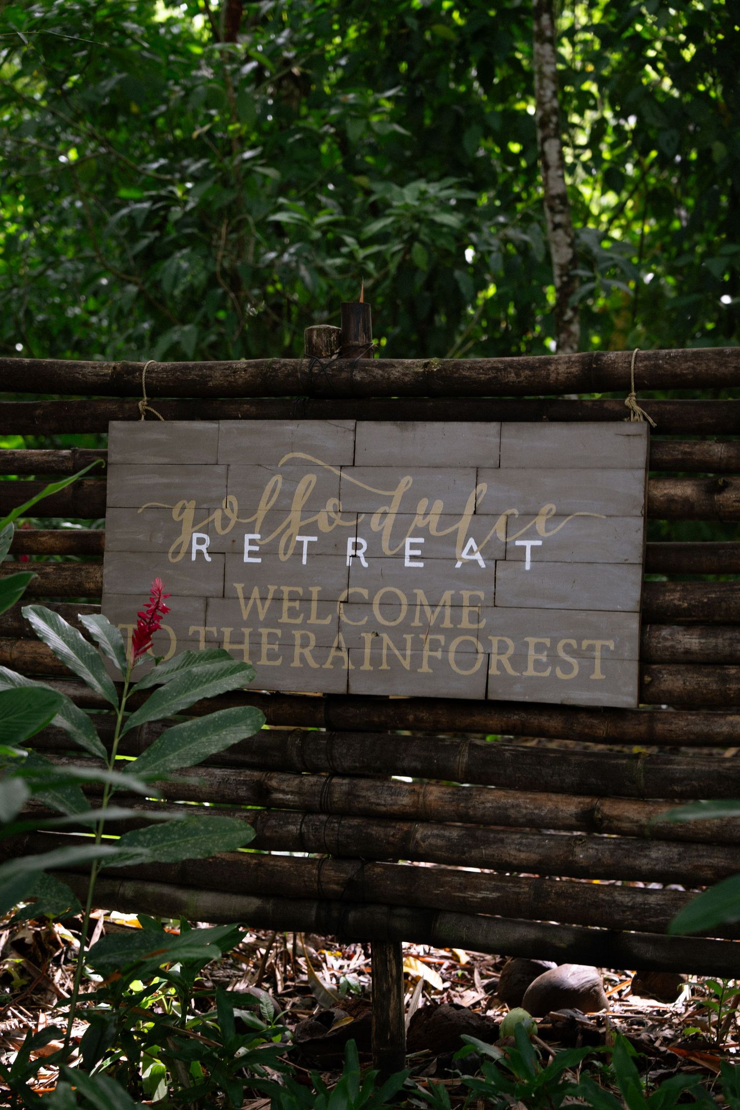 A rustic wooden sign welcomes visitors to a rainforest retreat.