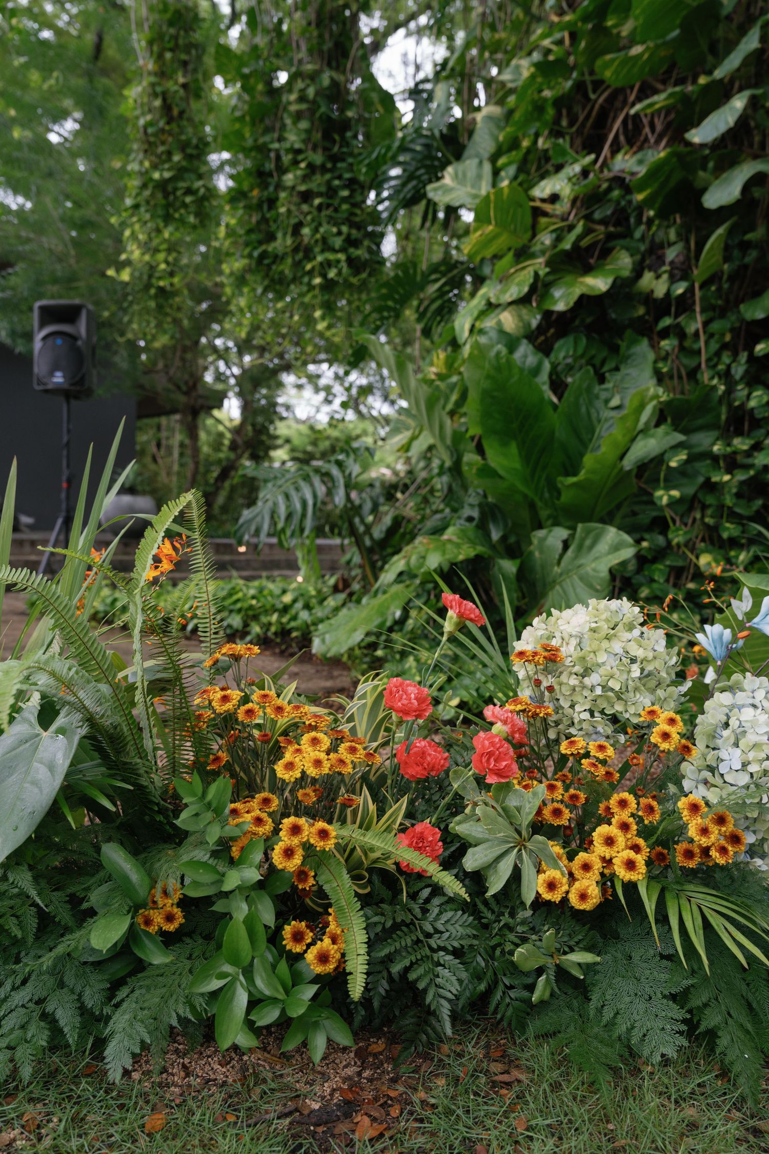 Vibrant orange and red flowers arranged in a lush garden border with green foliage.