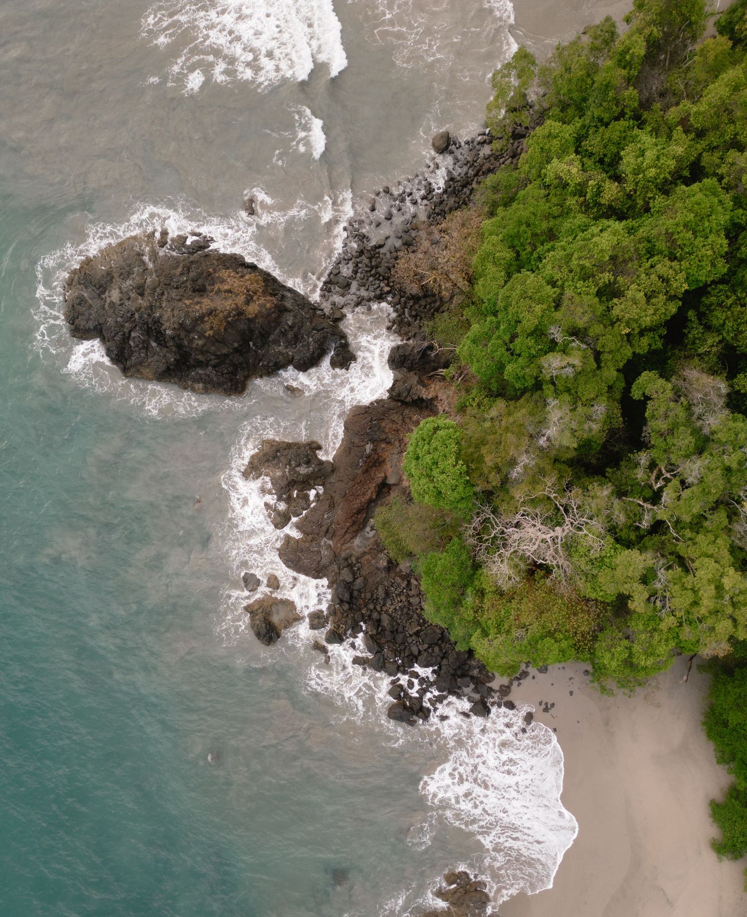 Aerial view of a rocky coastline with lush green vegetation and crashing waves against dark cliffs.