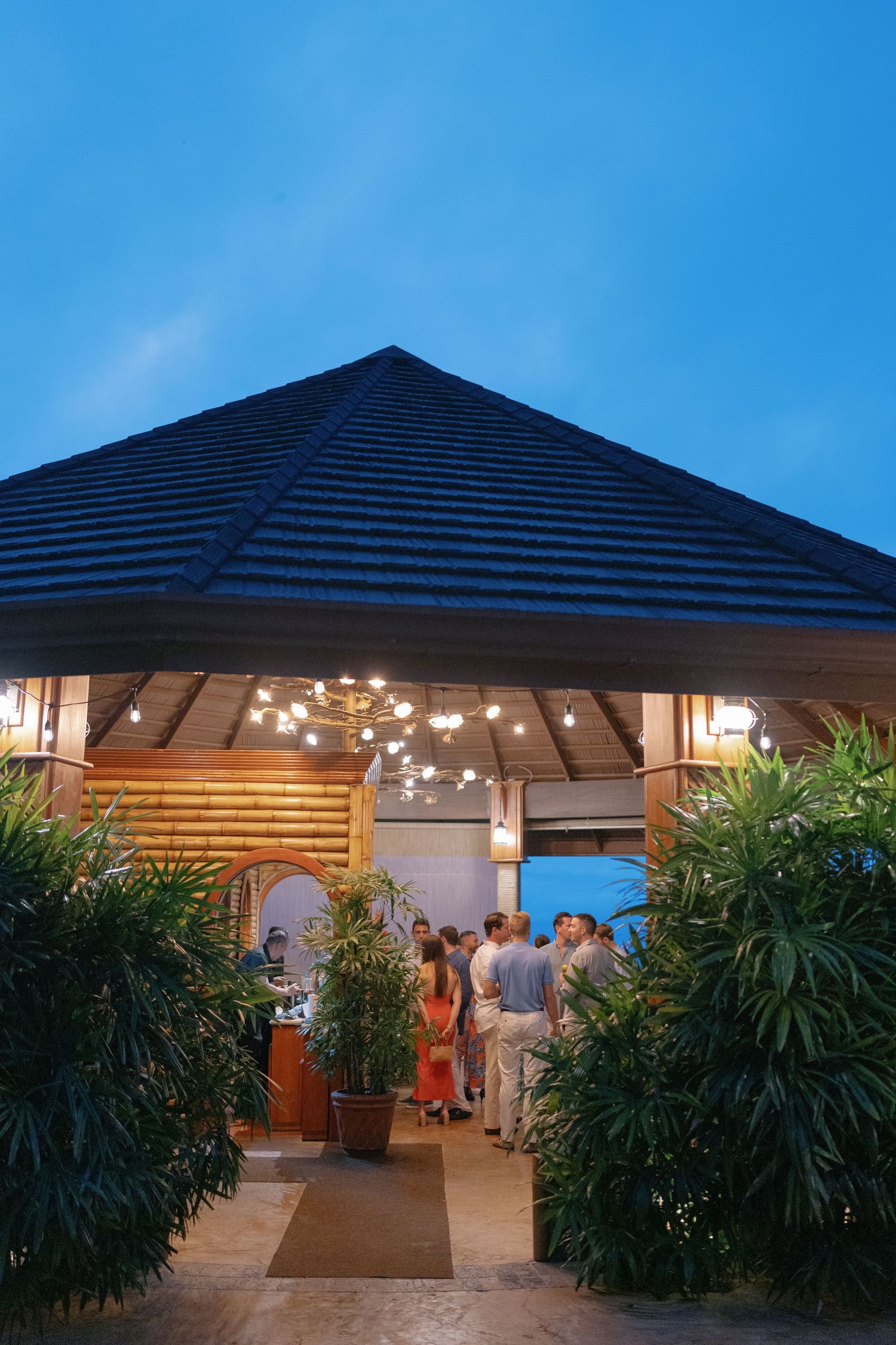 Outdoor pavilion with blue roof and tropical plants lit up at dusk.