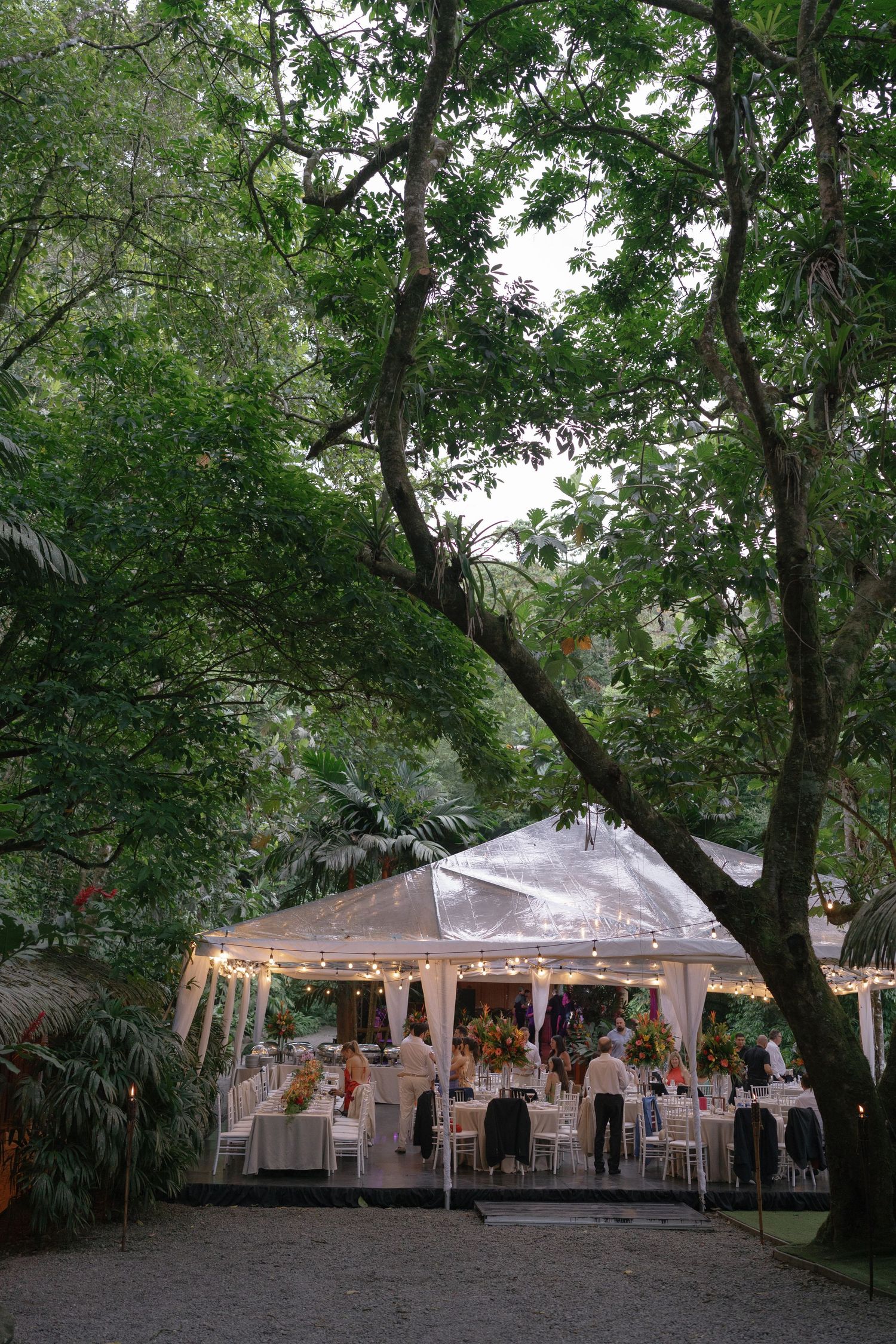 White tent reception setup under trees with string lights creating romantic ambiance.