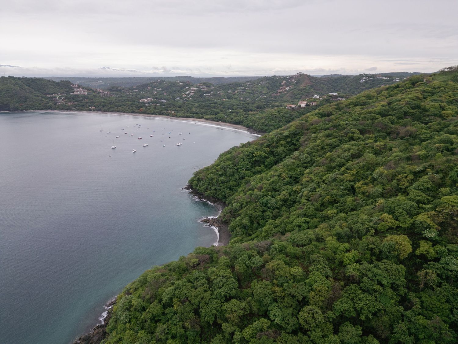 Aerial view of a coastal bay surrounded by lush green forest and hills.