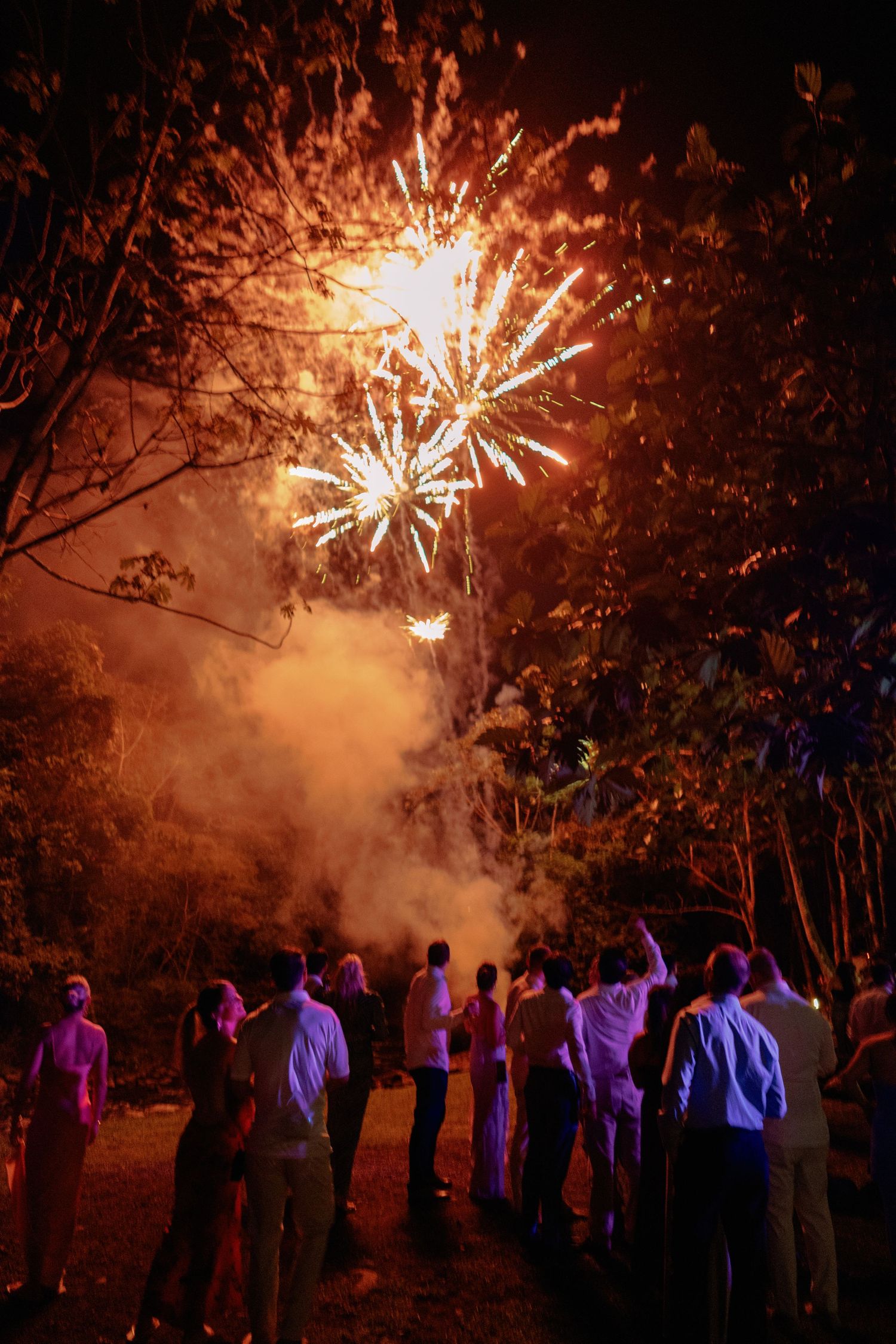 Colorful fireworks display illuminates the night sky as silhouetted guests watch in amazement.