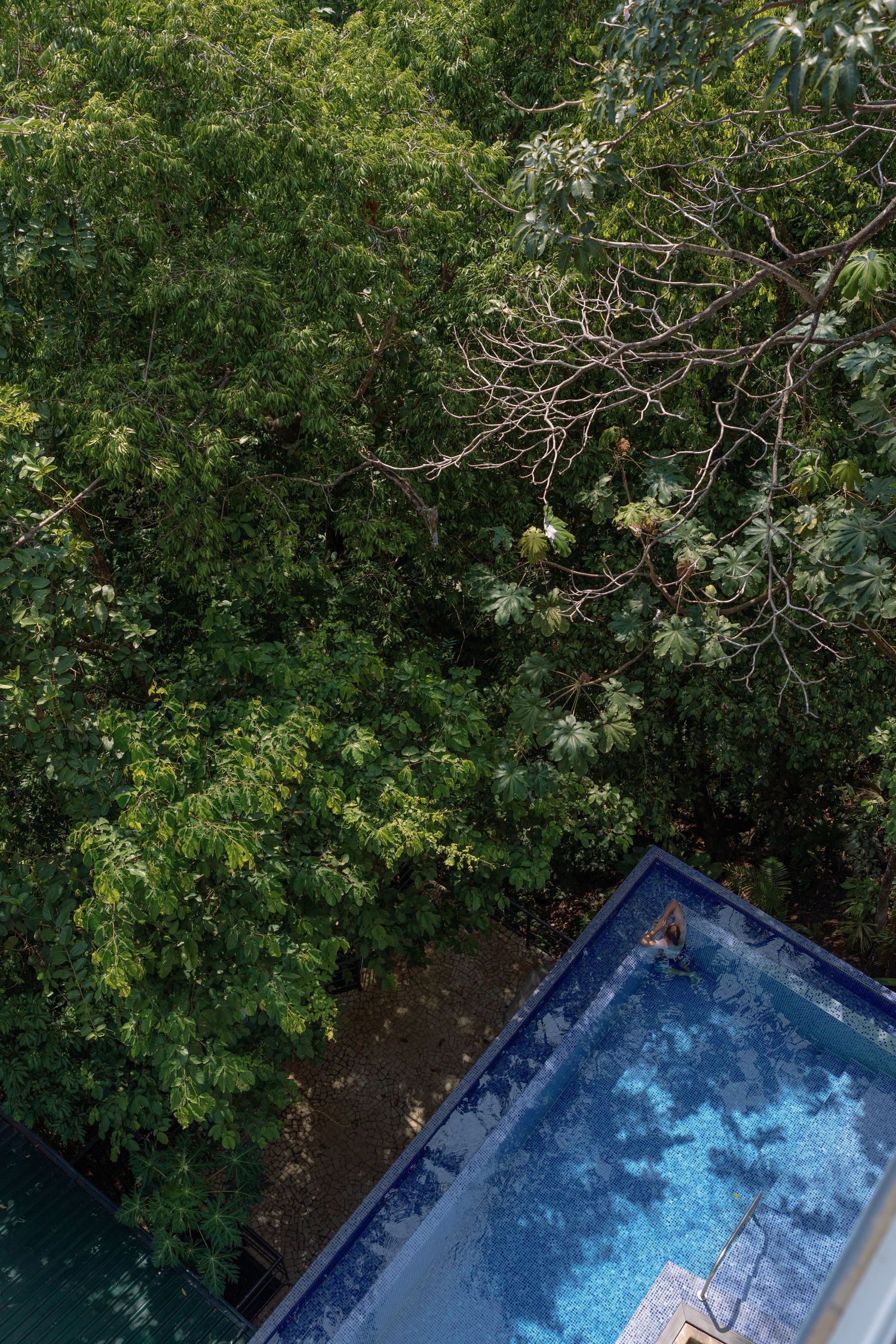 Overhead view of a blue swimming pool surrounded by green trees and foliage.
