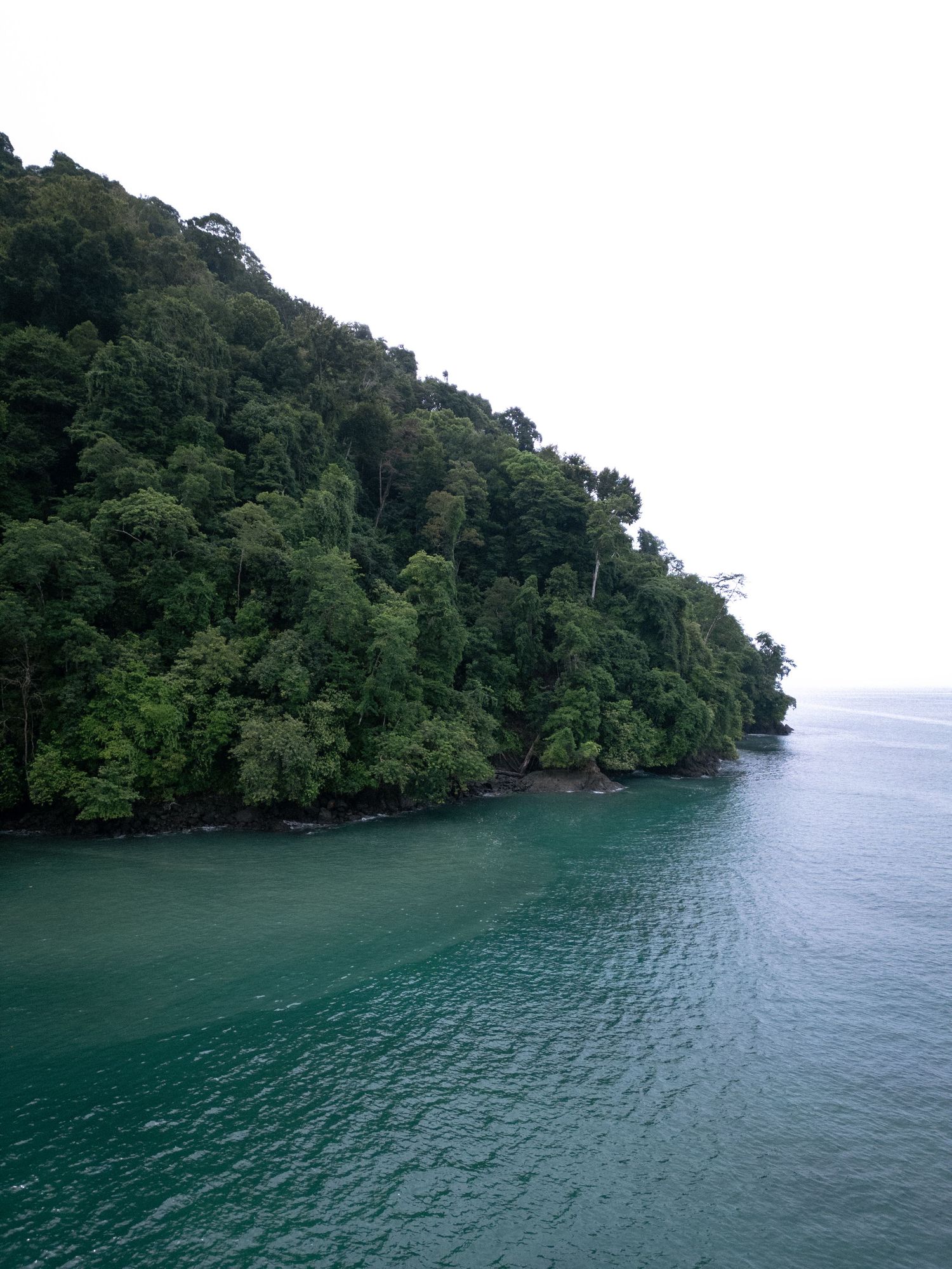 A forested coastal cliff meets turquoise waters in a tropical seascape.