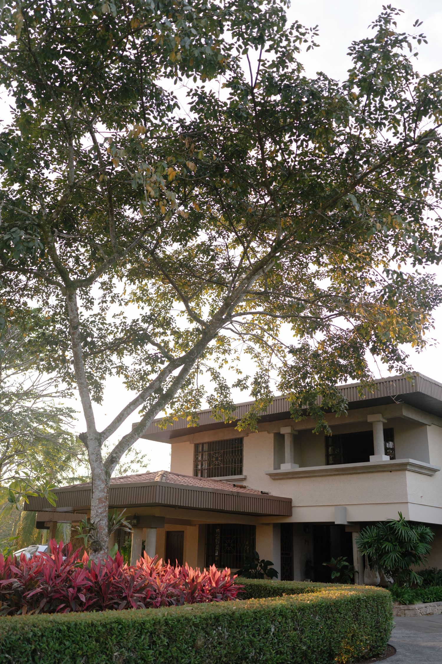 Modern architectural building with large windows surrounded by mature trees and landscaping.