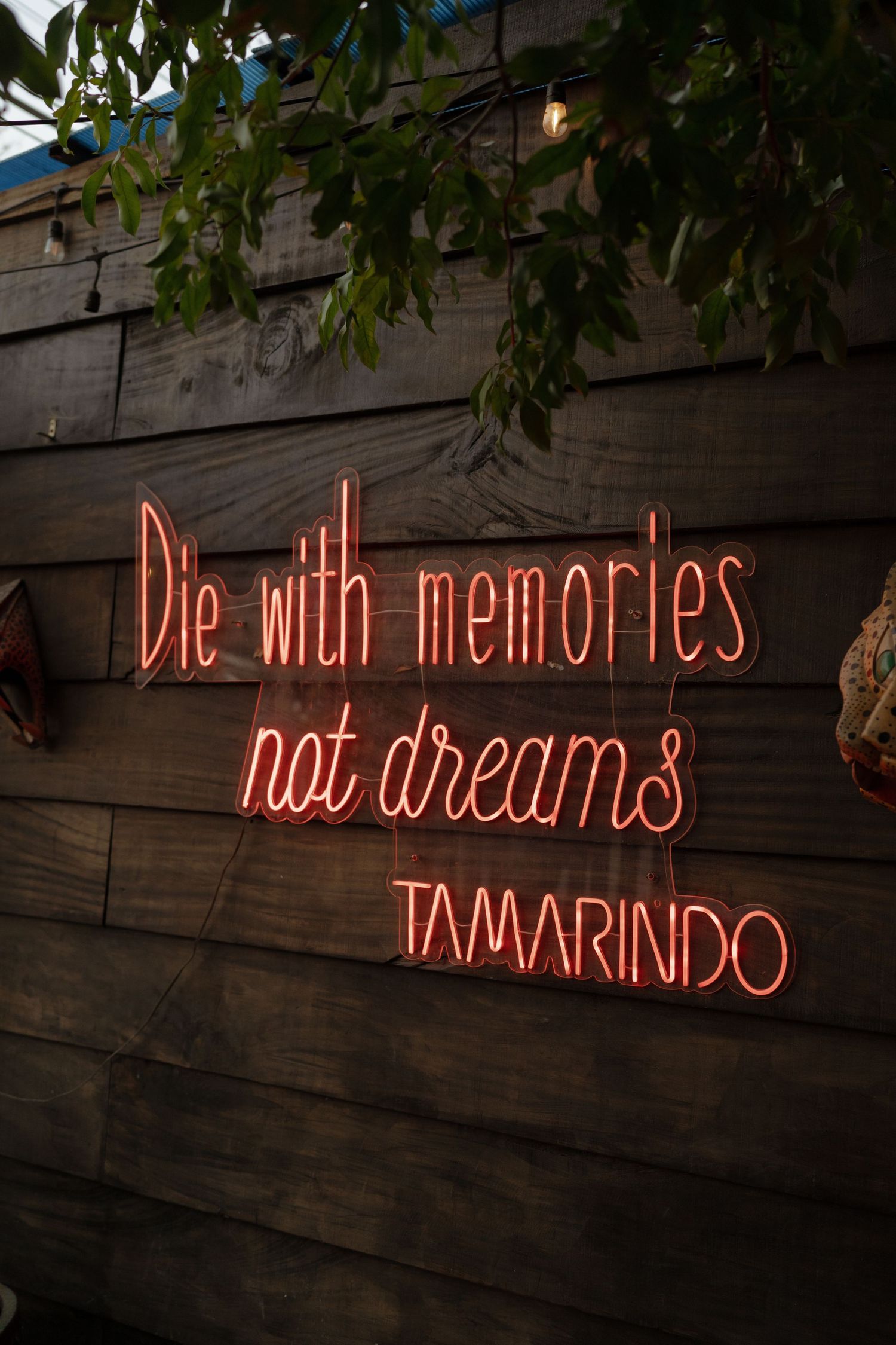 Red neon sign reading 'hot dreams' mounted on rustic wooden wall with greenery.